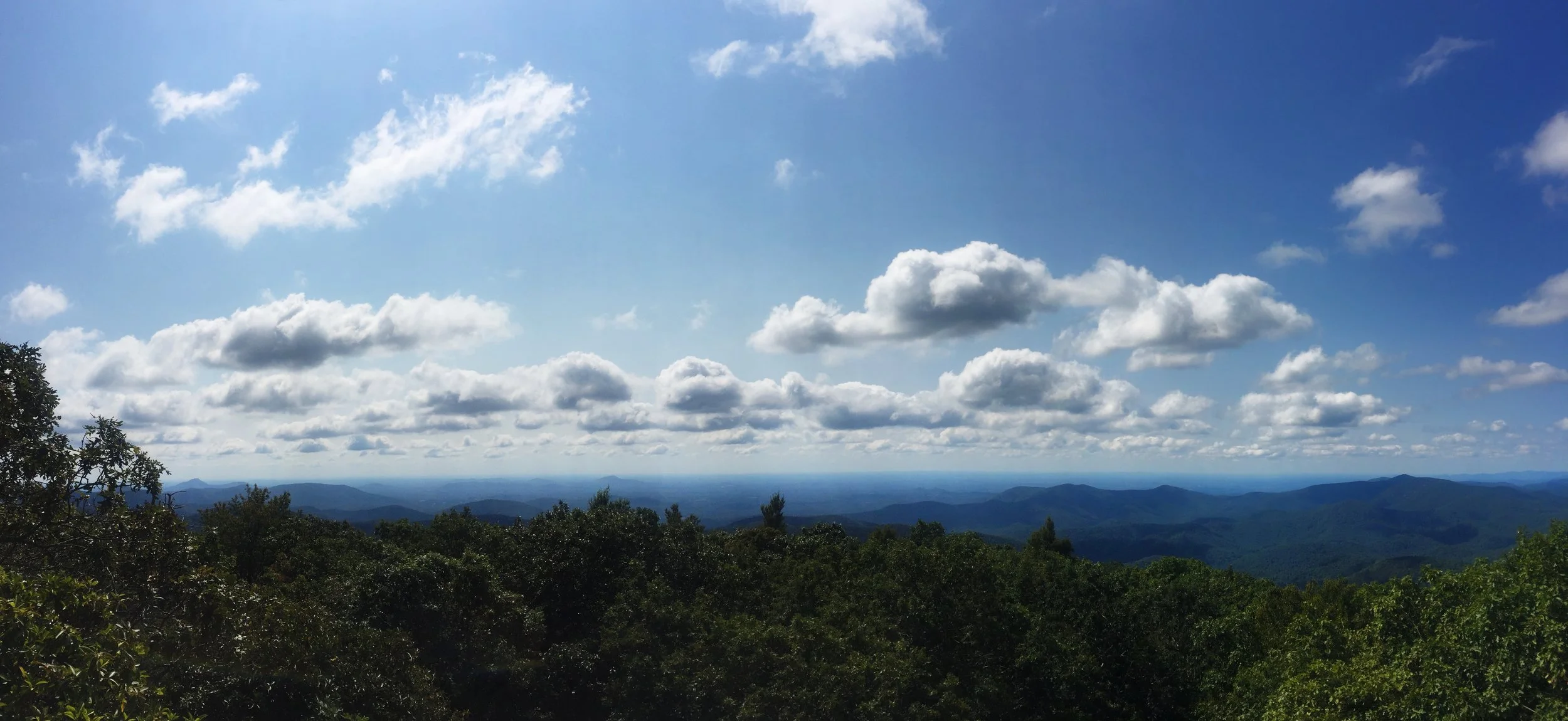 A921C462-C337-4586-AD11-0E2664F0FCD7.jpg