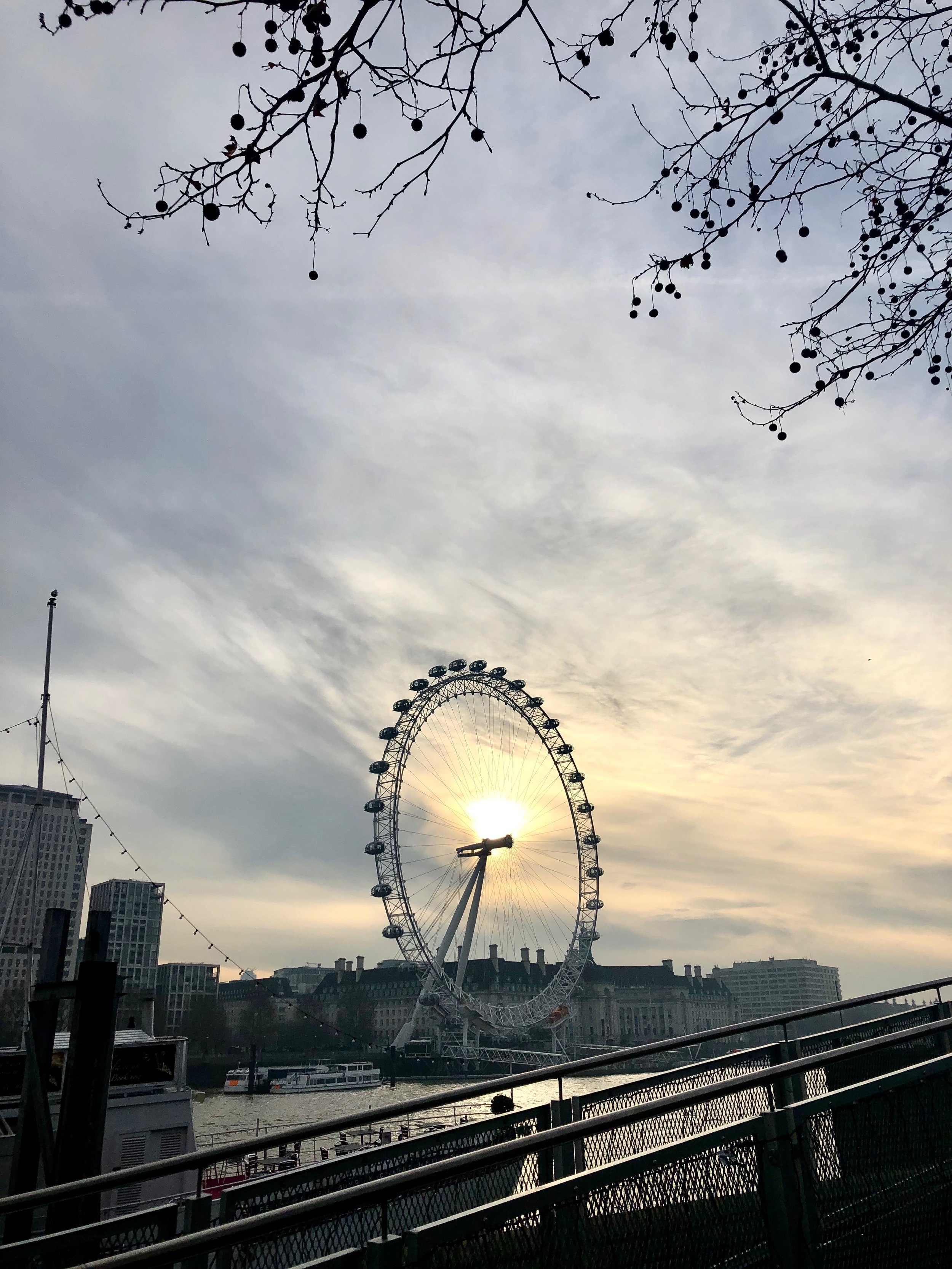 IMG_6173.jpeg
