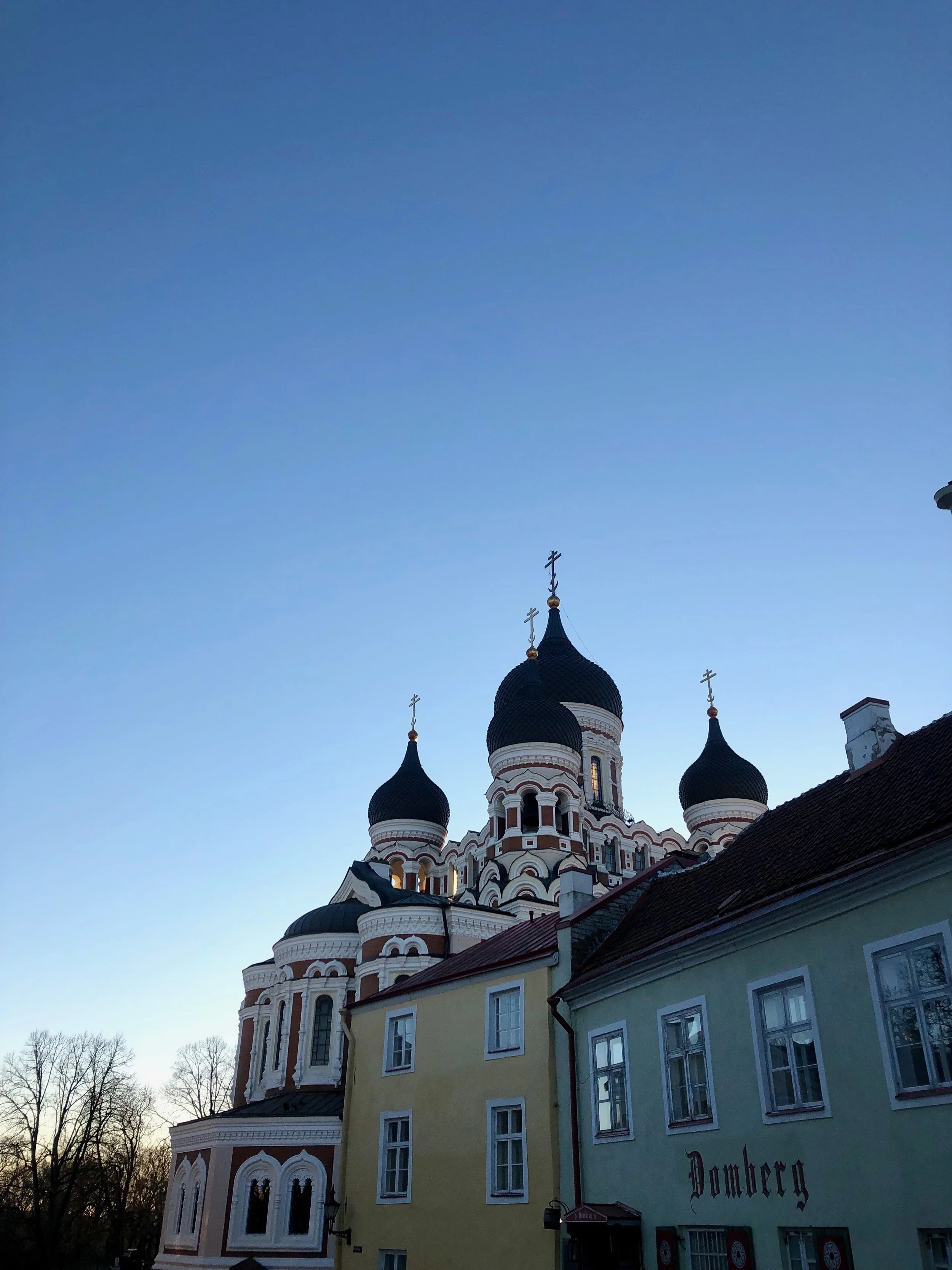 IMG_7074.jpeg