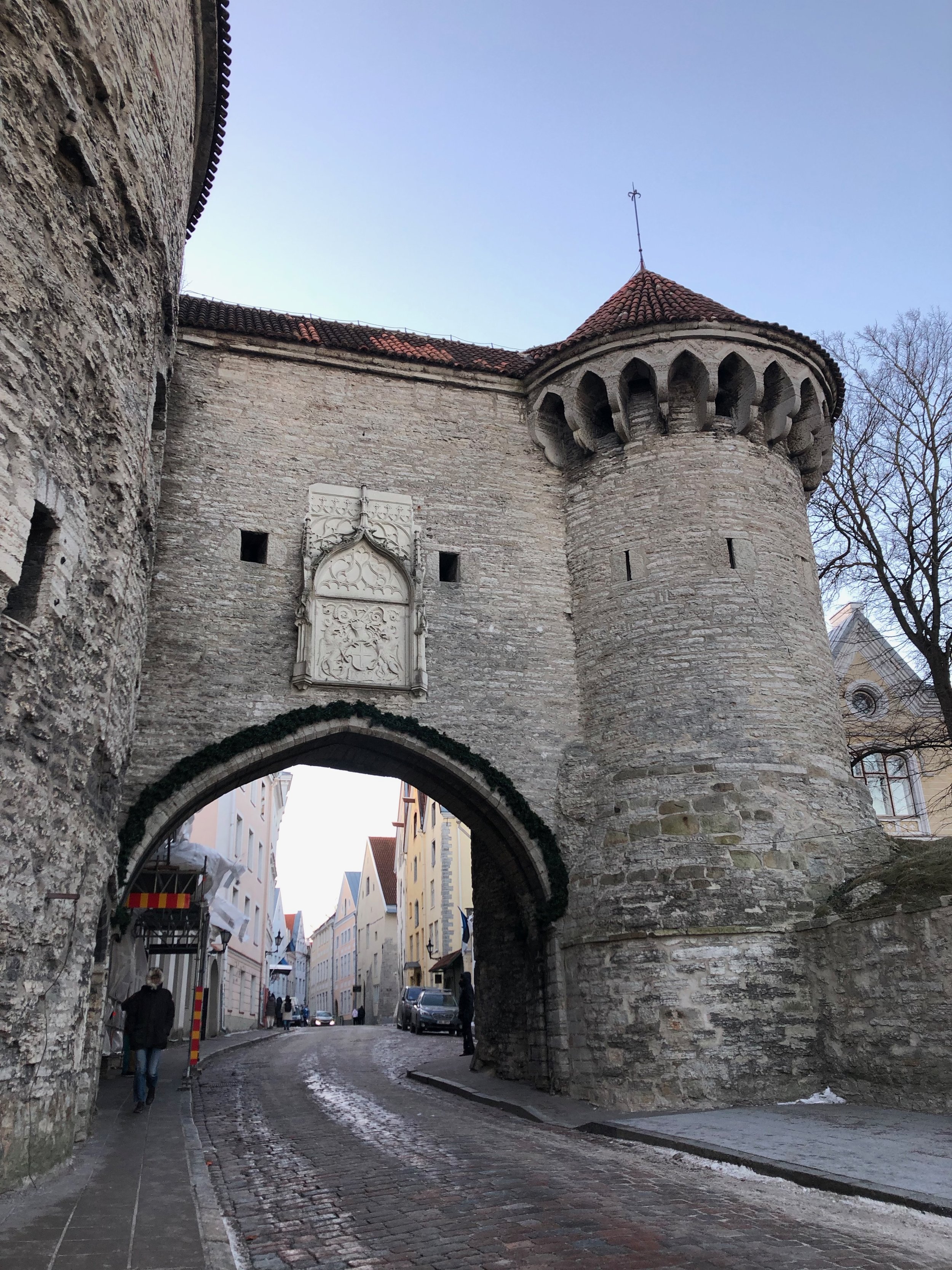 IMG_7016.jpeg