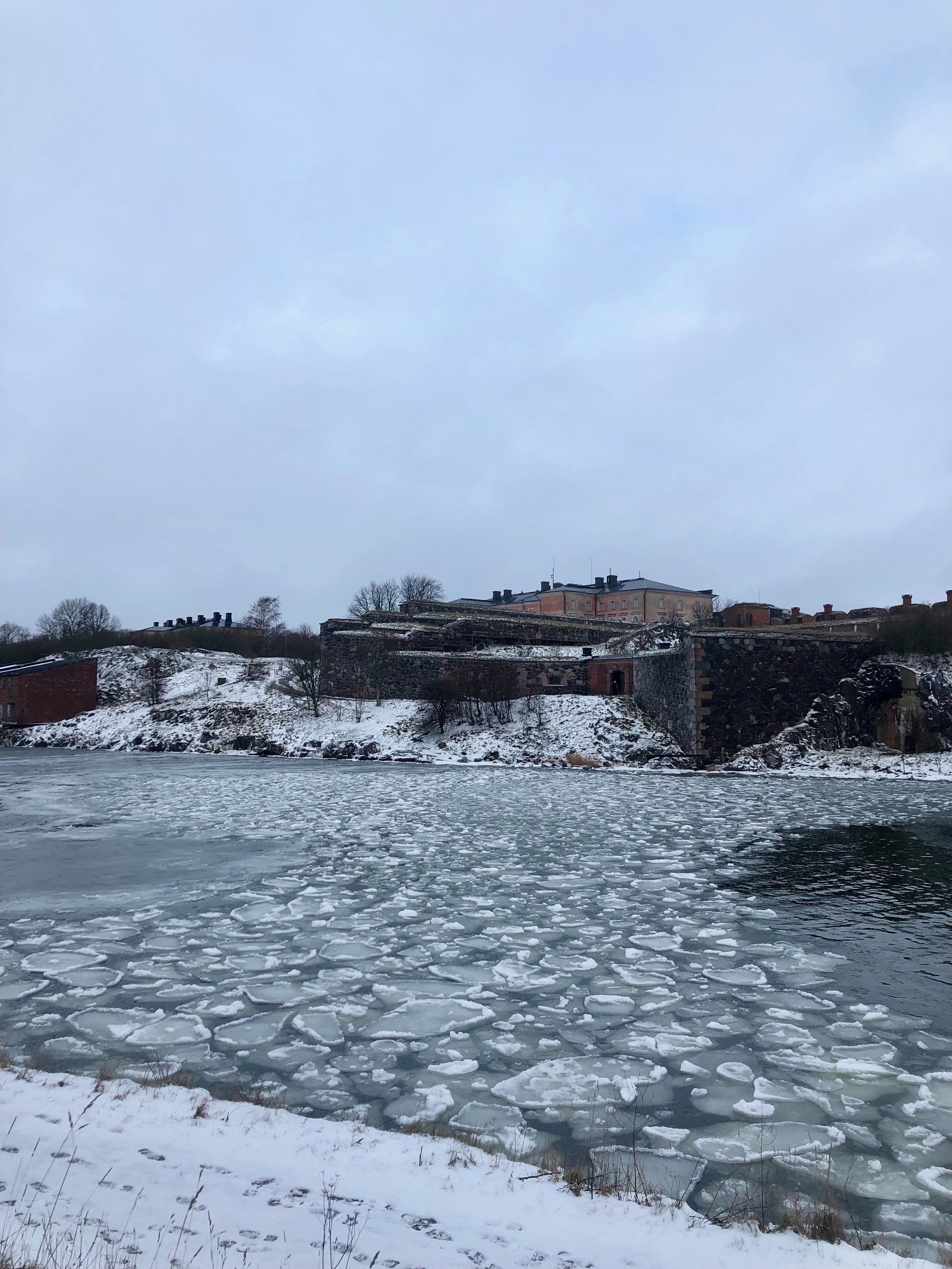 IMG_7138.jpeg