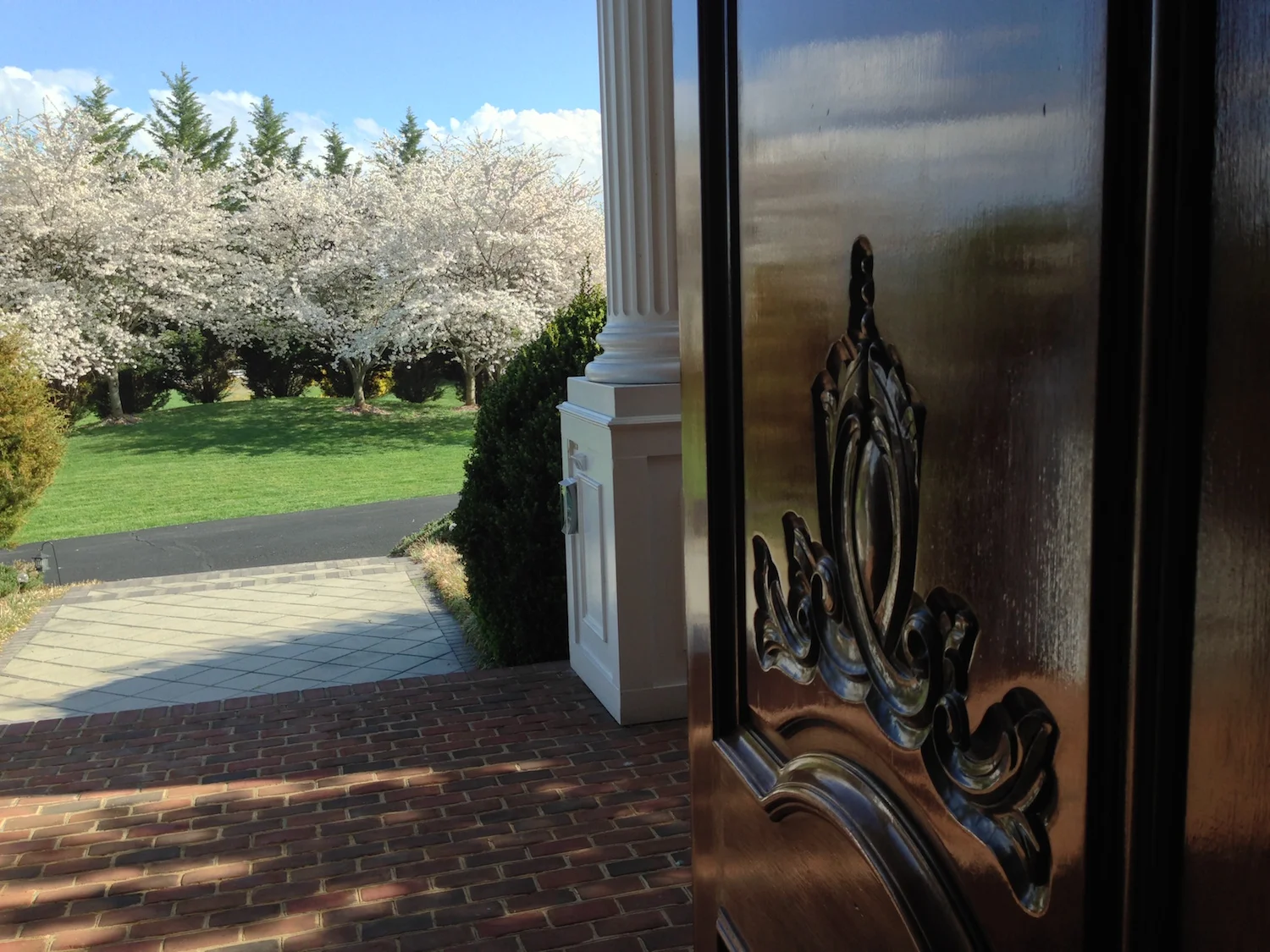 front-door-with-cherry-trees.JPG