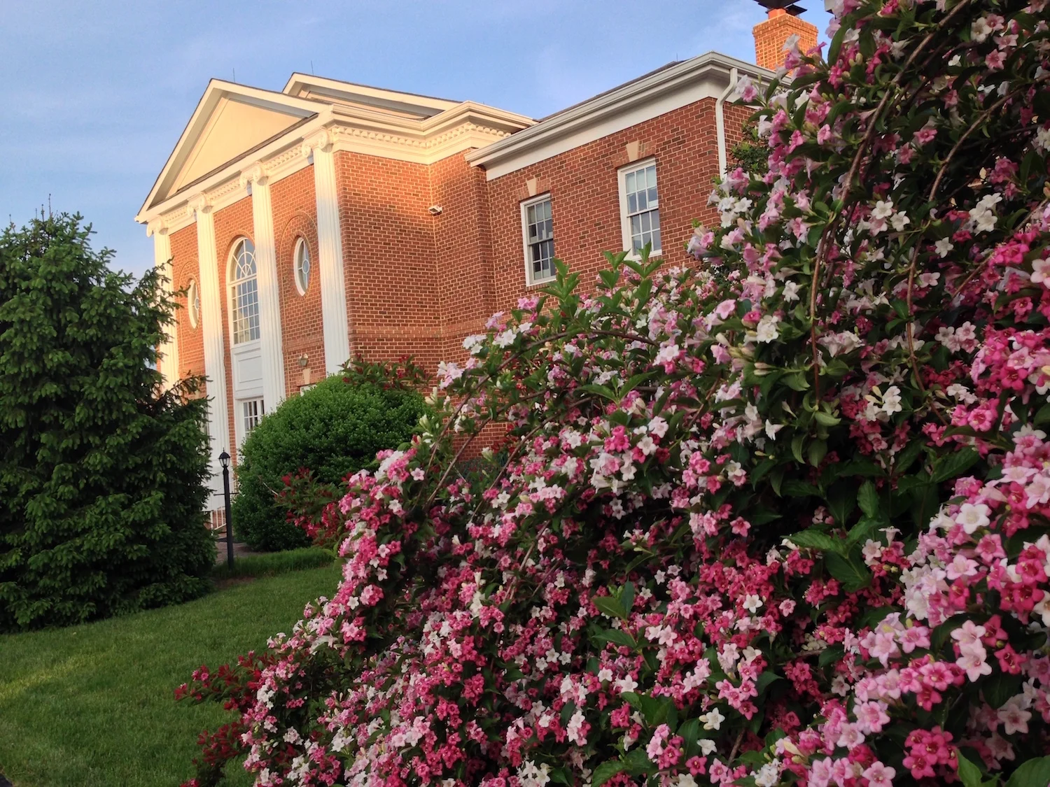 back-facade-with-flowers.JPG