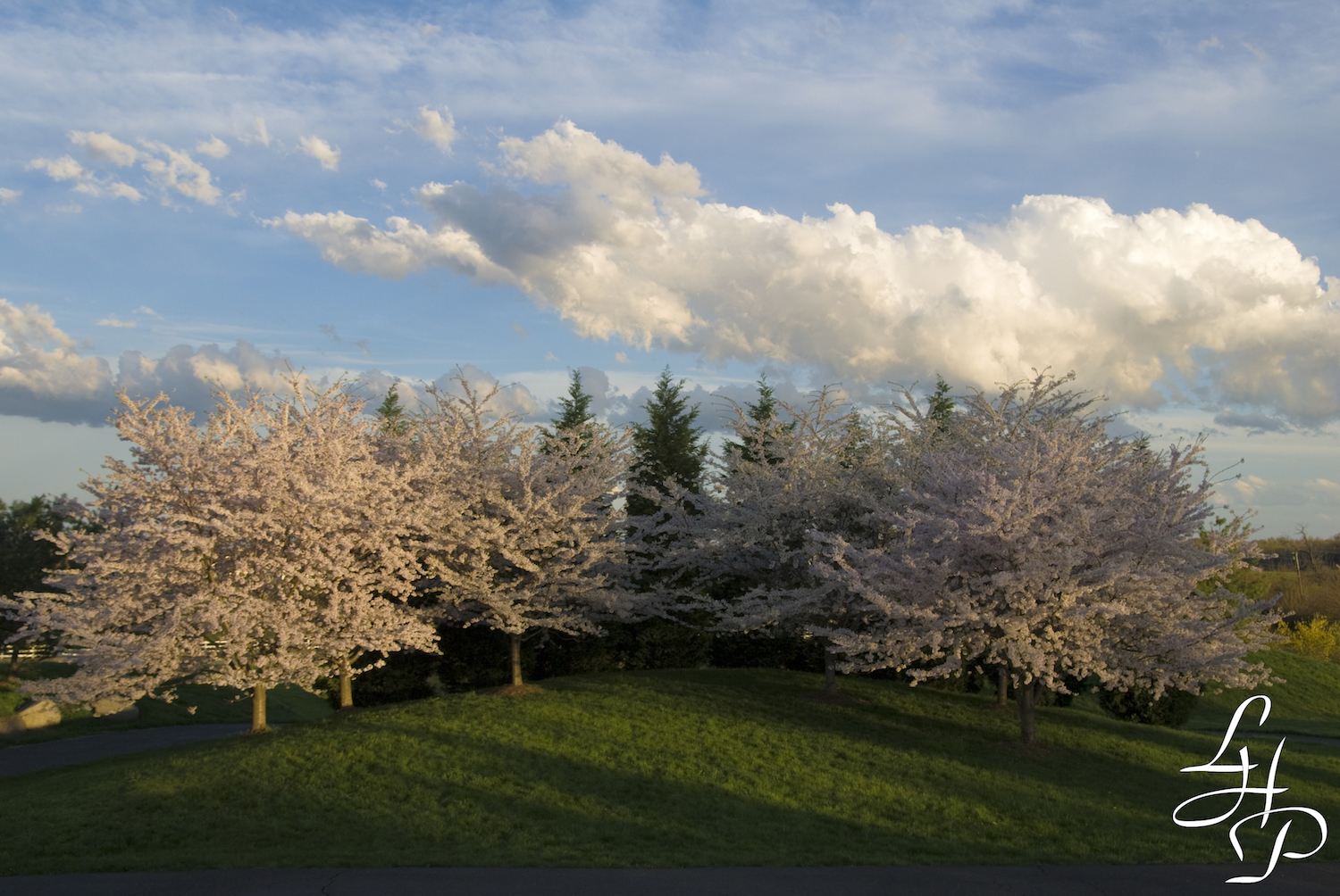 front-trees-outside-entrance.jpg