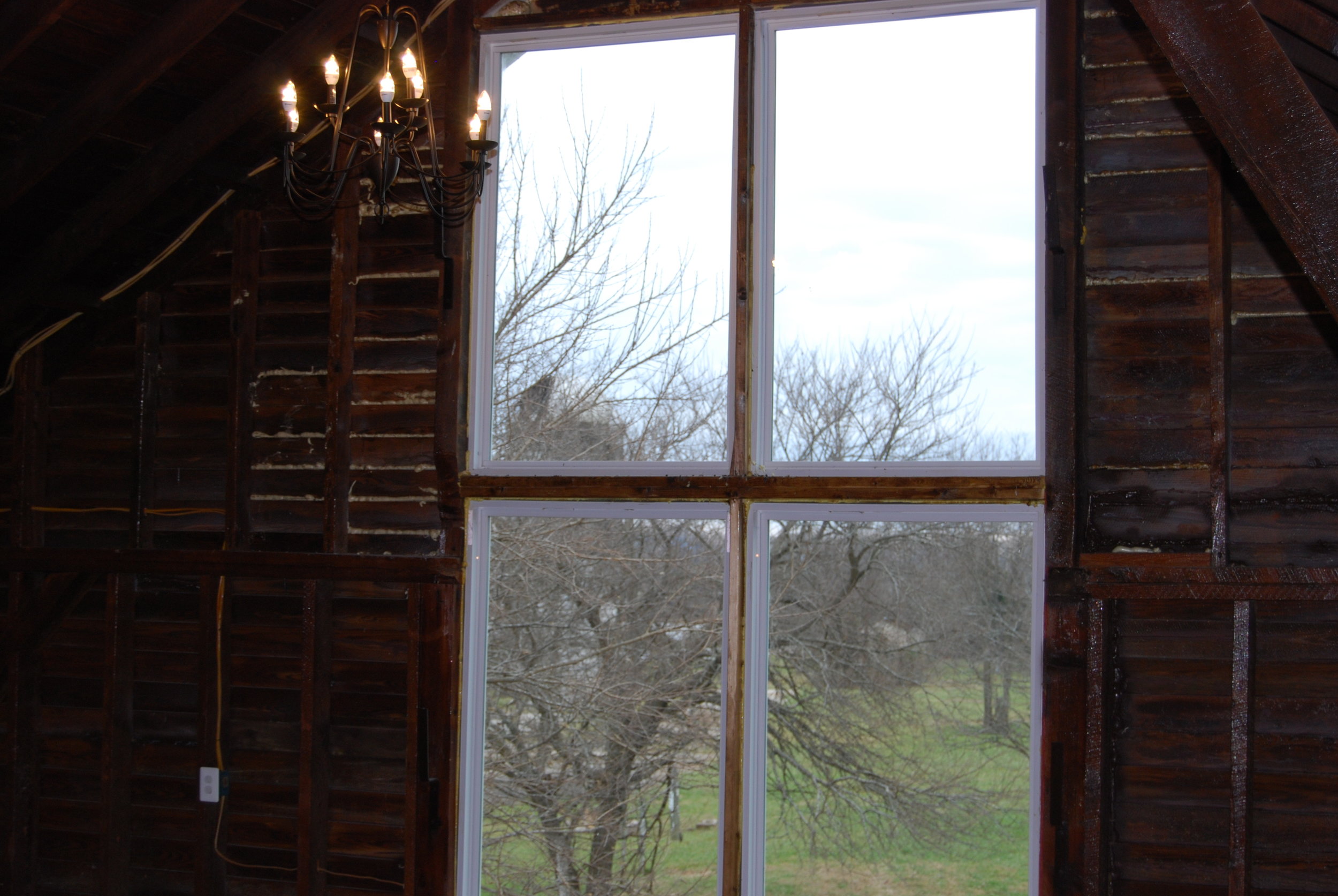 Upstairs window with trees in the view.JPG