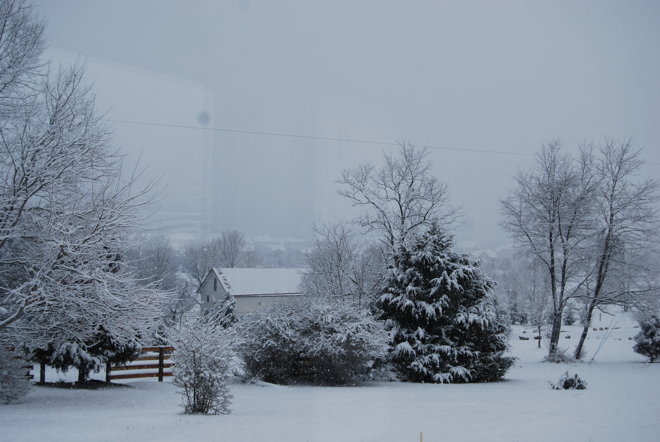 Hopkins Grove with snow 2.JPG