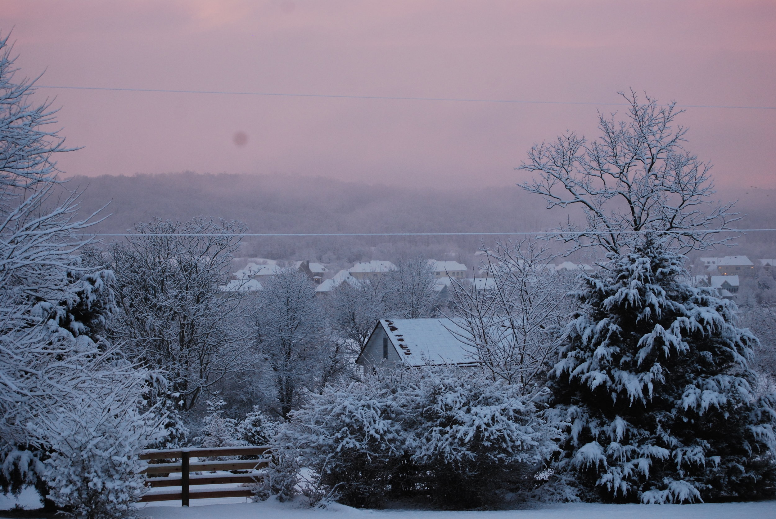 Hopkins Grove with snow and red sunset.JPG