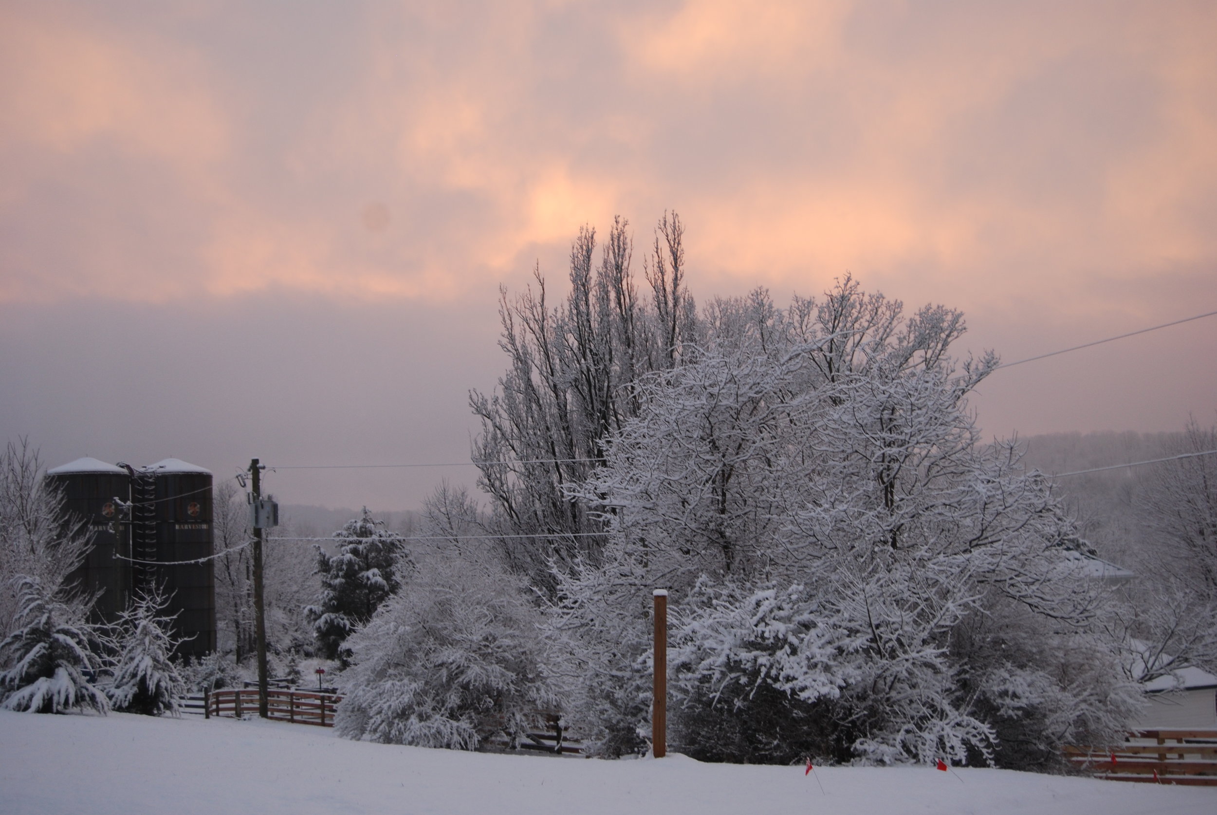 Hopkins Grove with snow with sunset.JPG