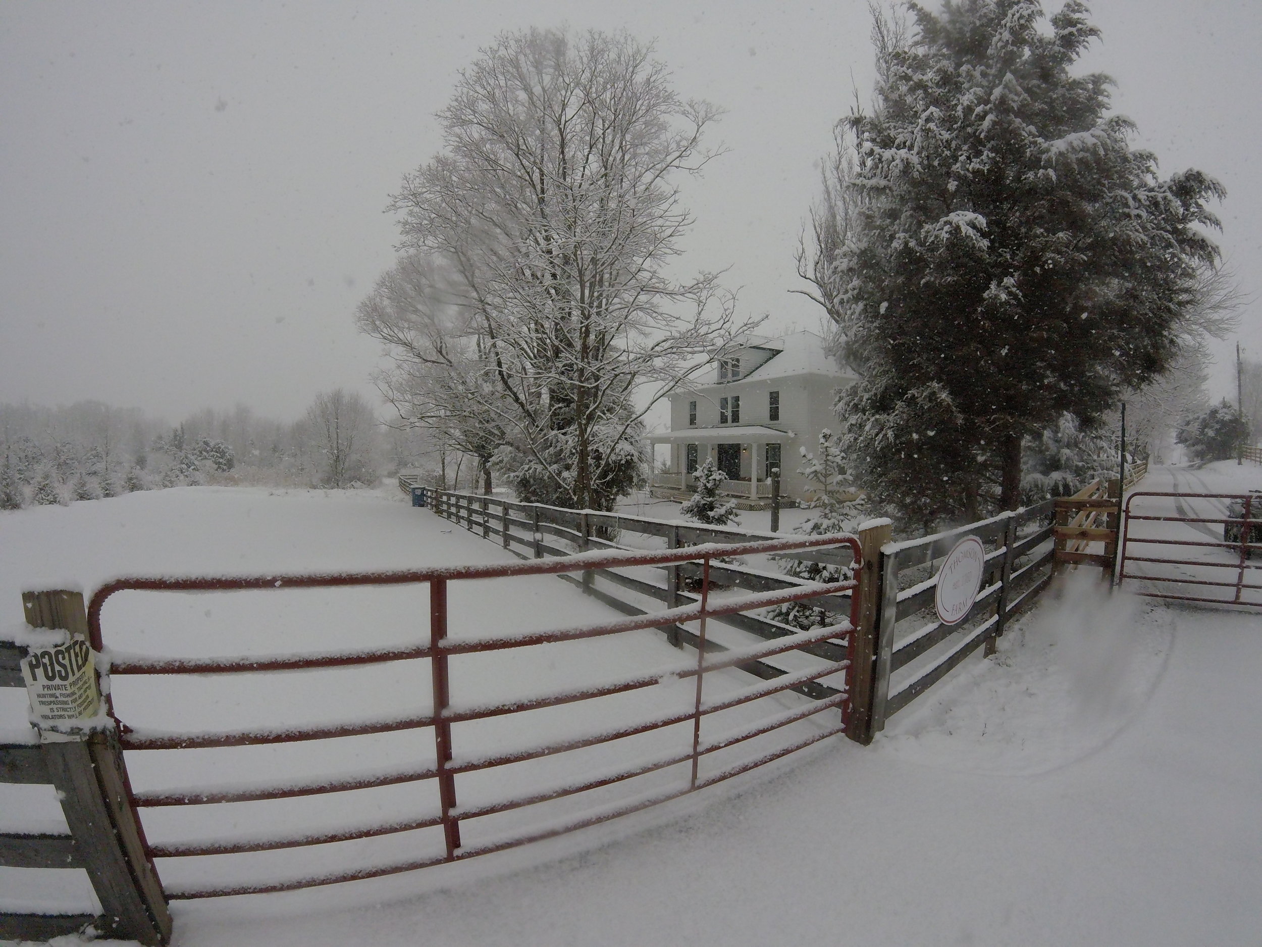 Thomson farm with gate and fence and snow.JPG