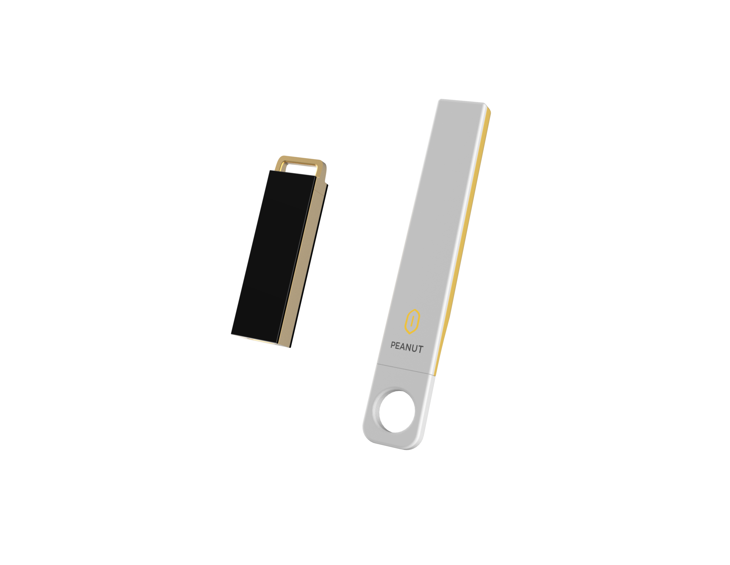1. Reader and Sheath.png