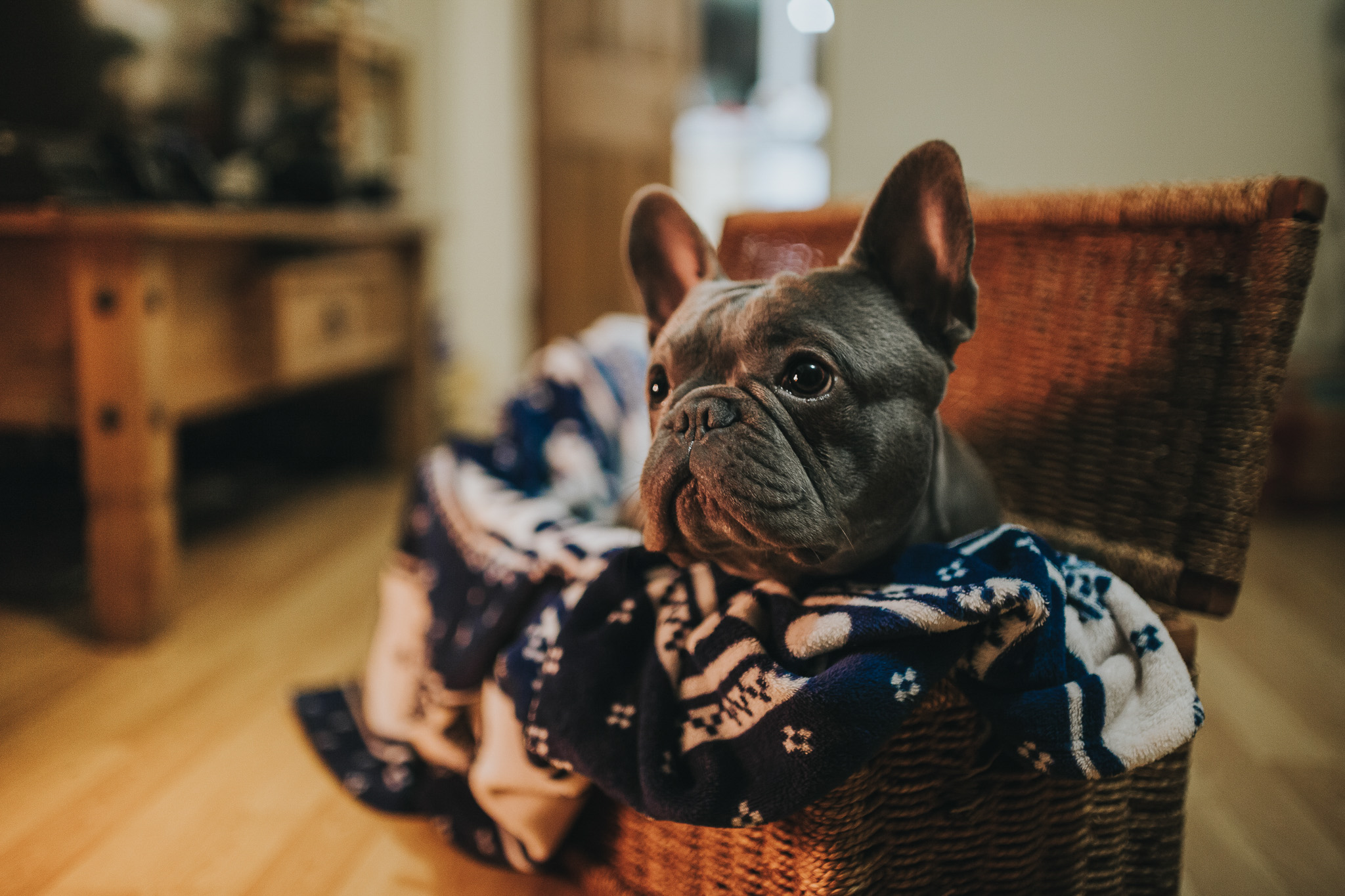 KrisHumphreysPhotography(c)_Small-38.jpg