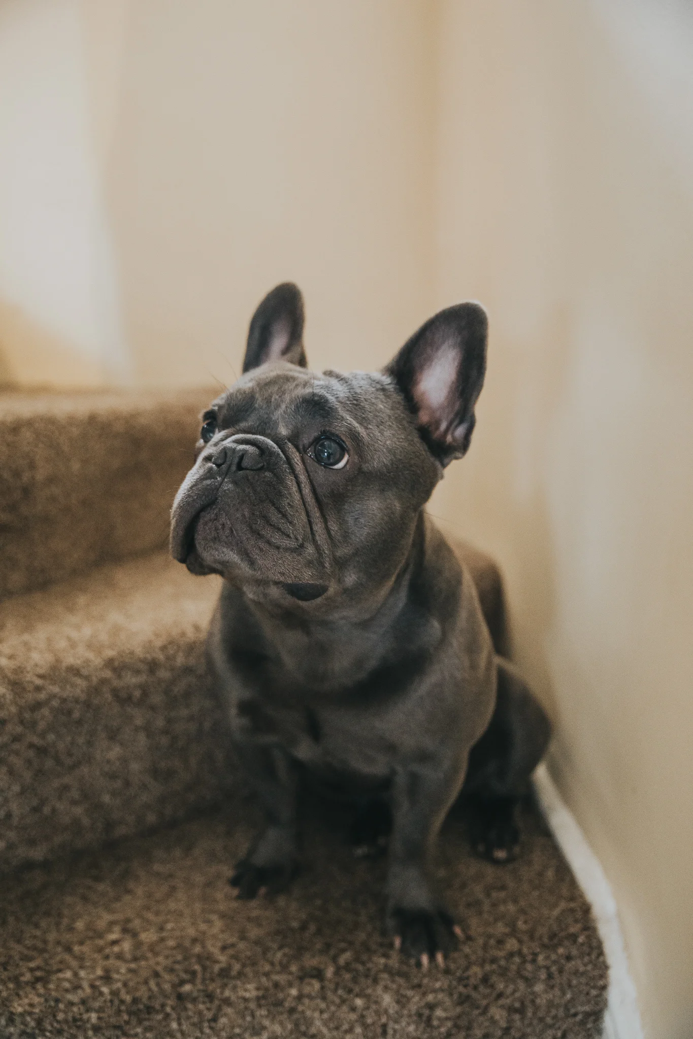 KrisHumphreysPhotography(c)_Small-32.jpg