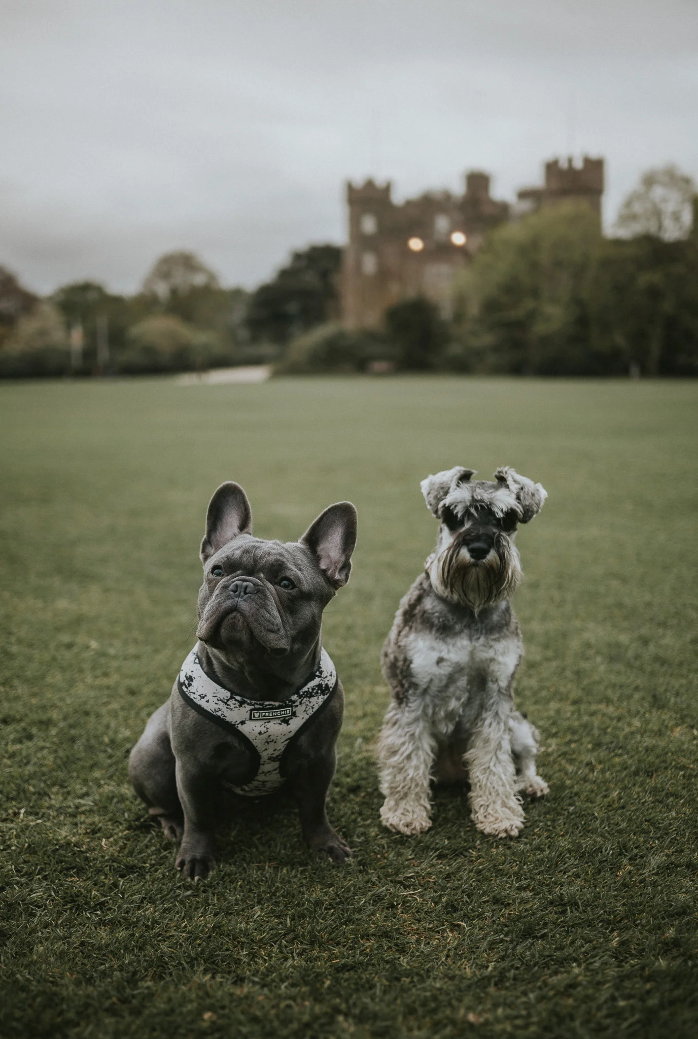 KrisHumphreysPhotography(c)_Small-7.jpg