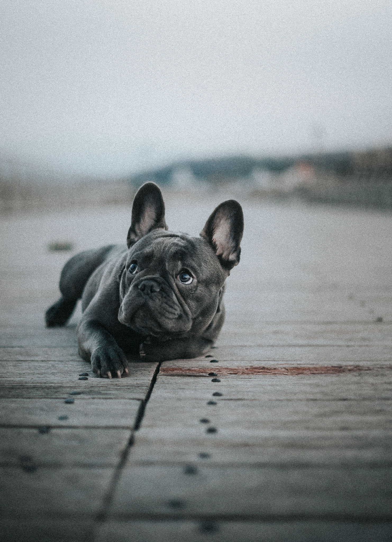 KrisHumphreysPhotography(c)_Small-5.jpg
