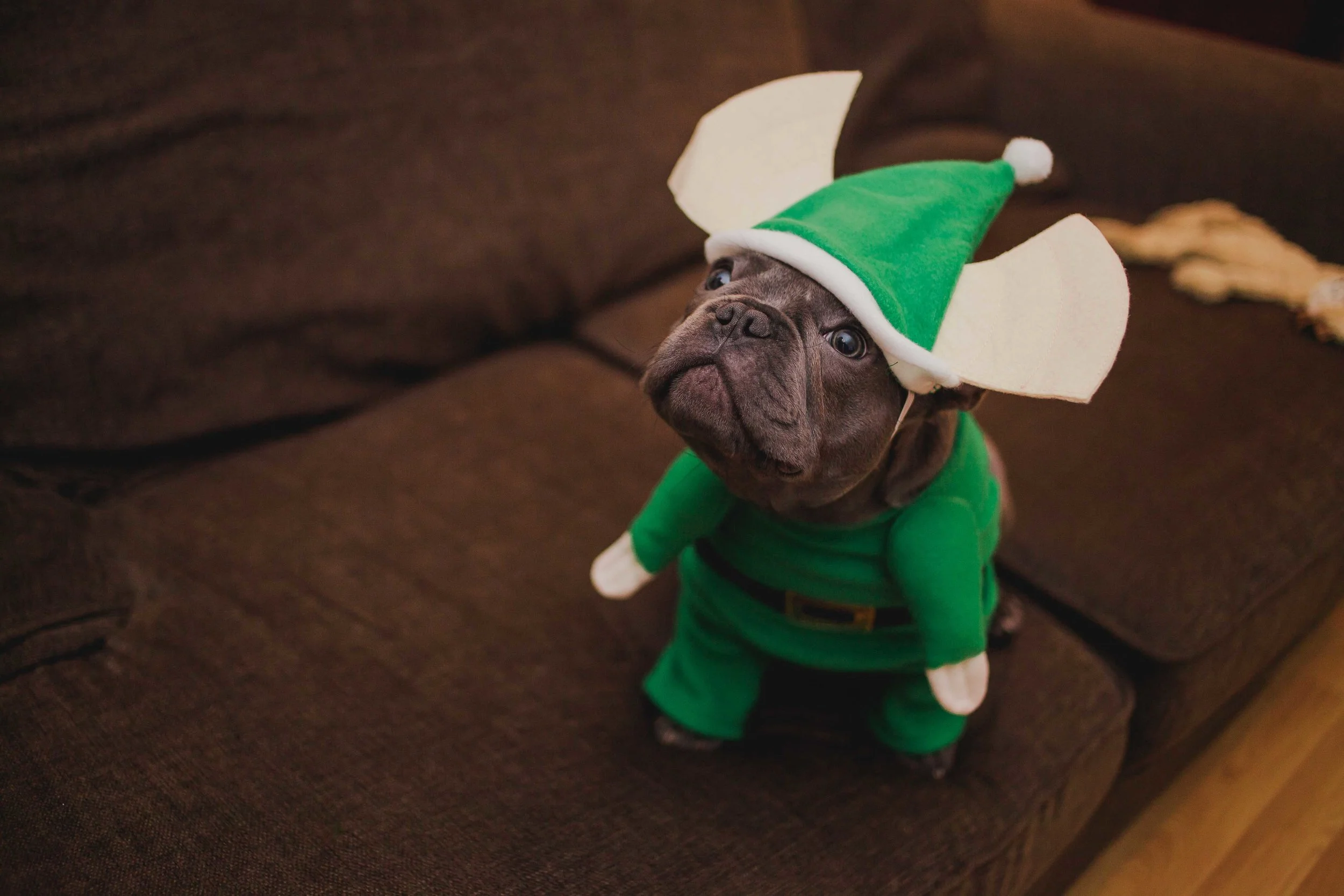 KrisHumphreysPhotography(c)_Small.jpg