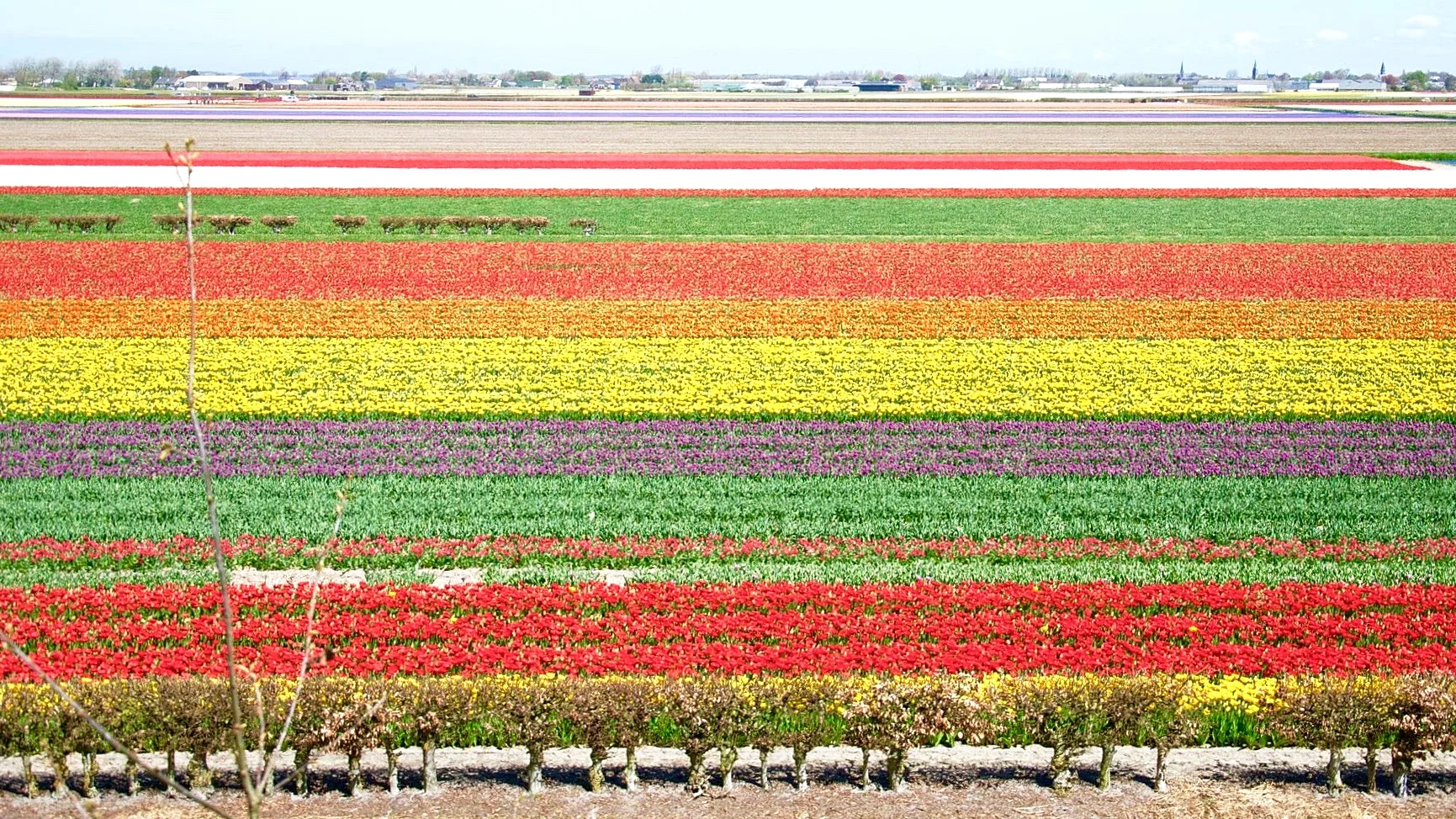 2013-05-05 13.06.54.jpg