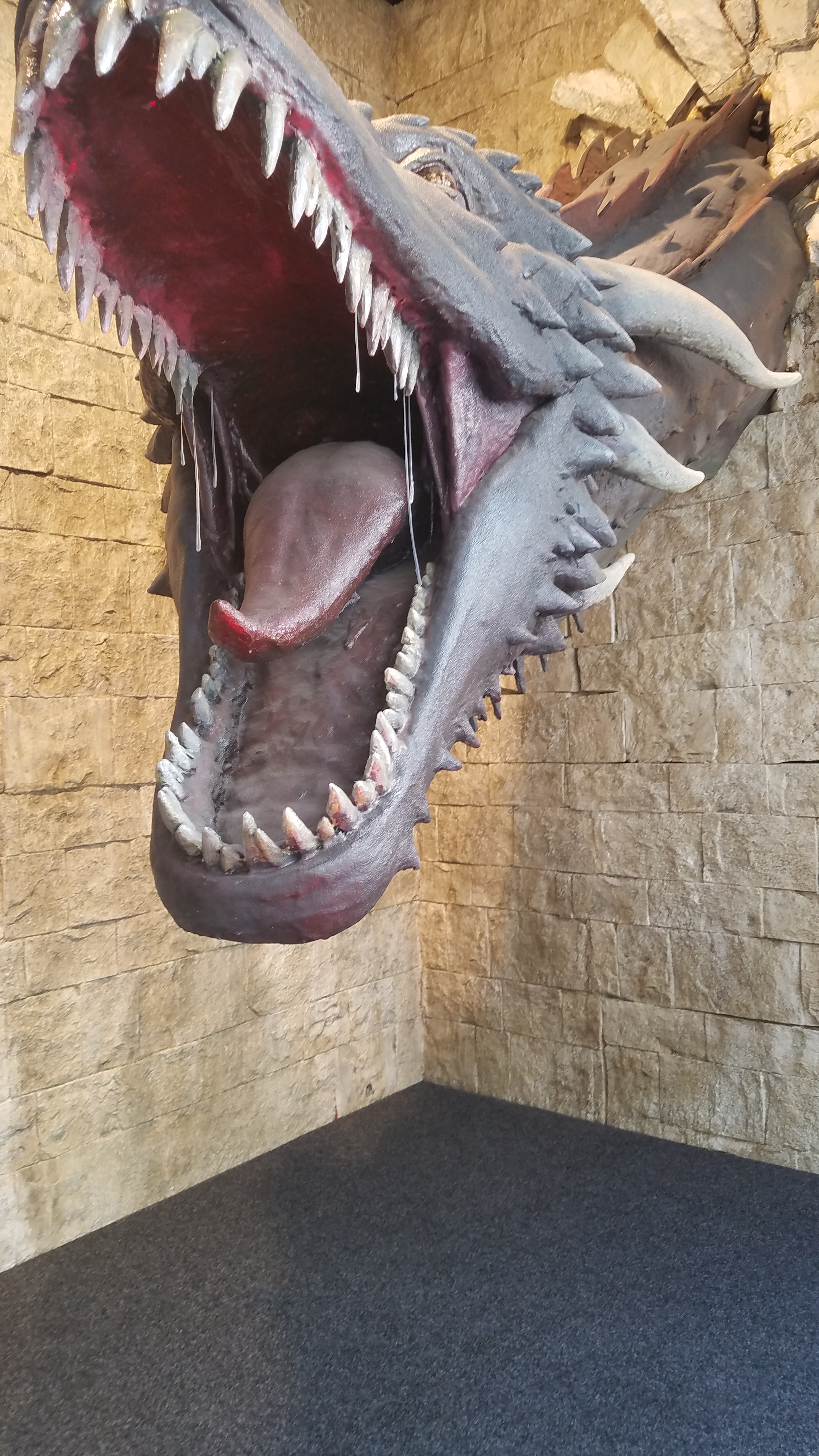  Dragon at the Game of Thrones Museum 