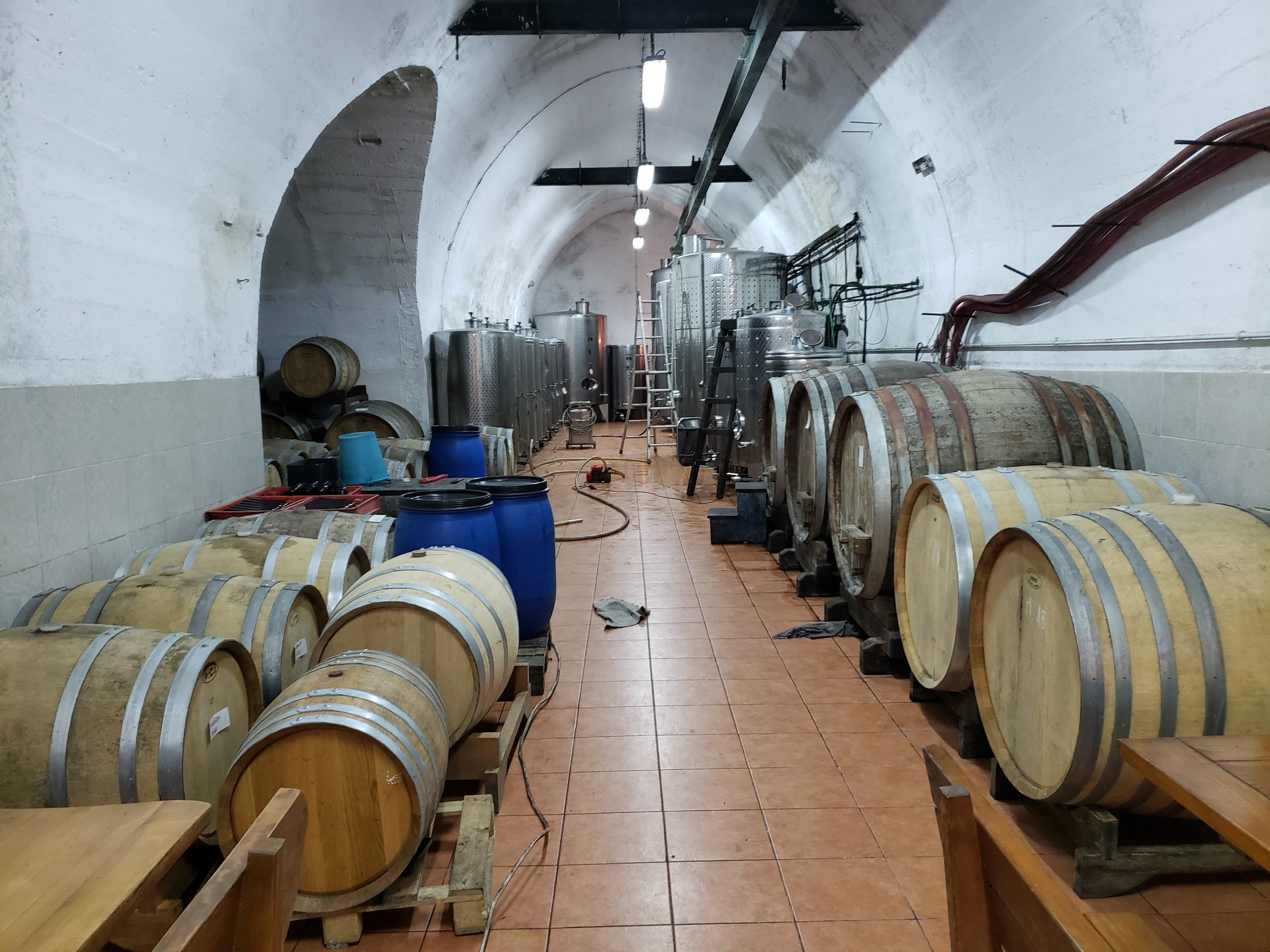  The Lipanovic winery in the caves  of the Vis mountains 