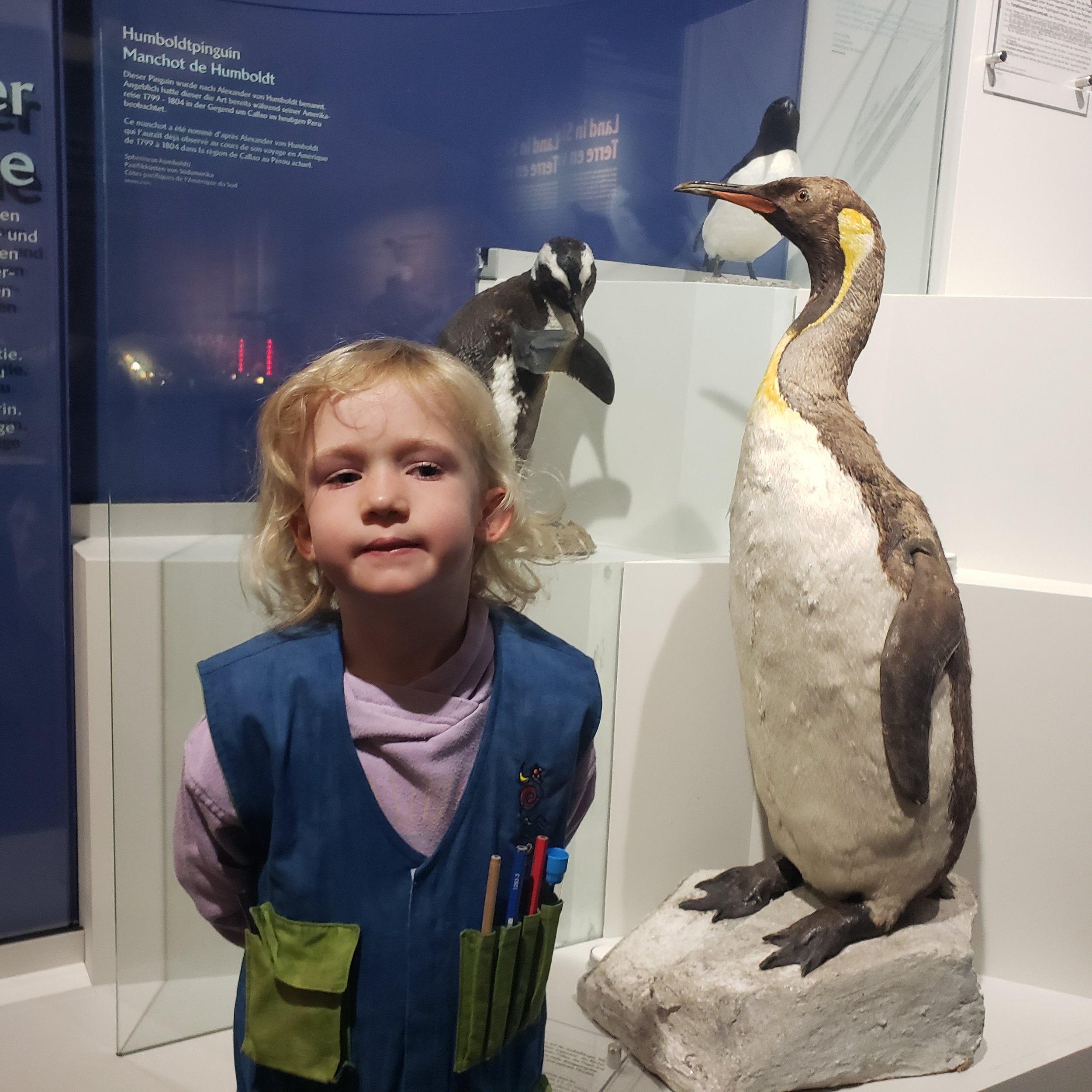 Museum of Natural History