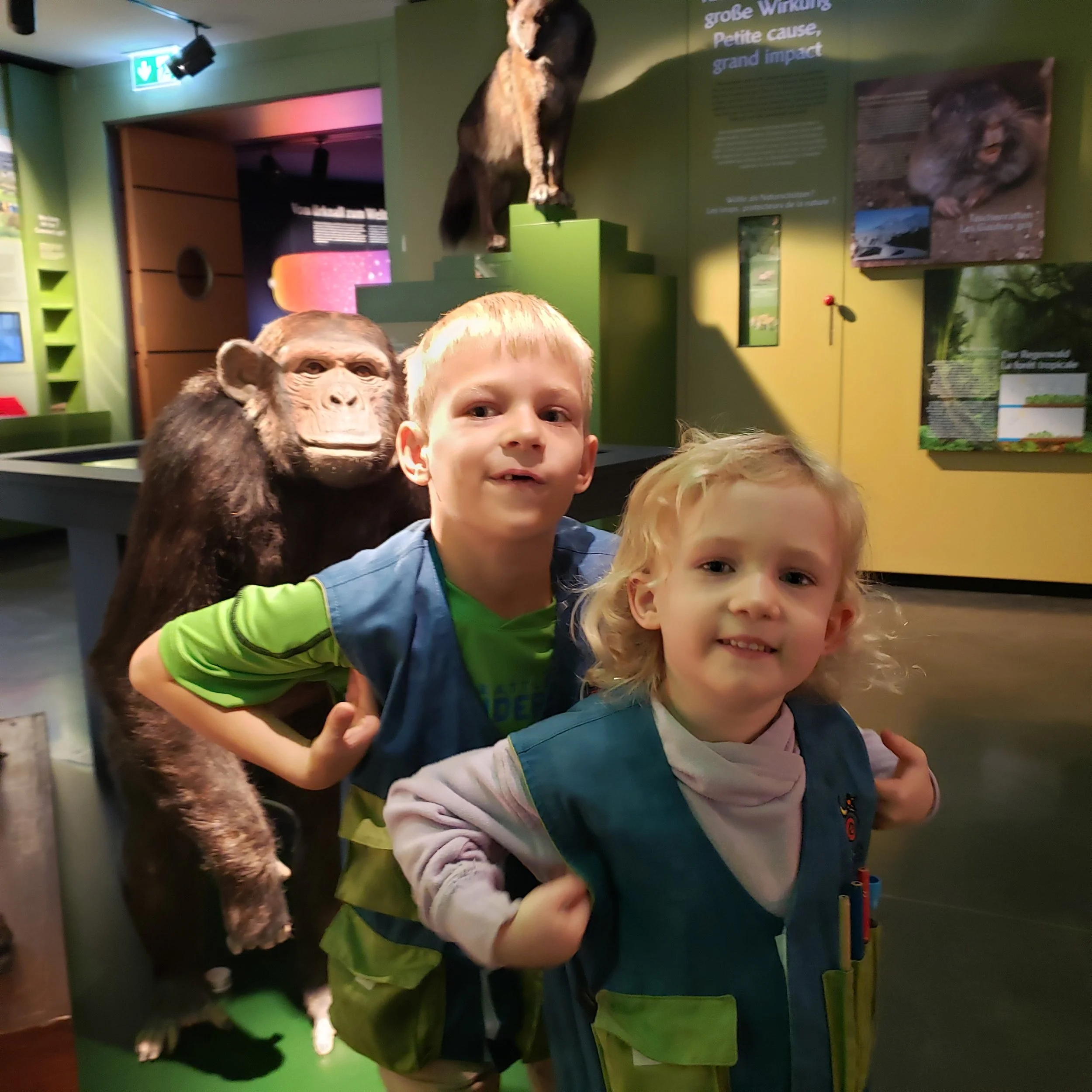 Museum of Natural History