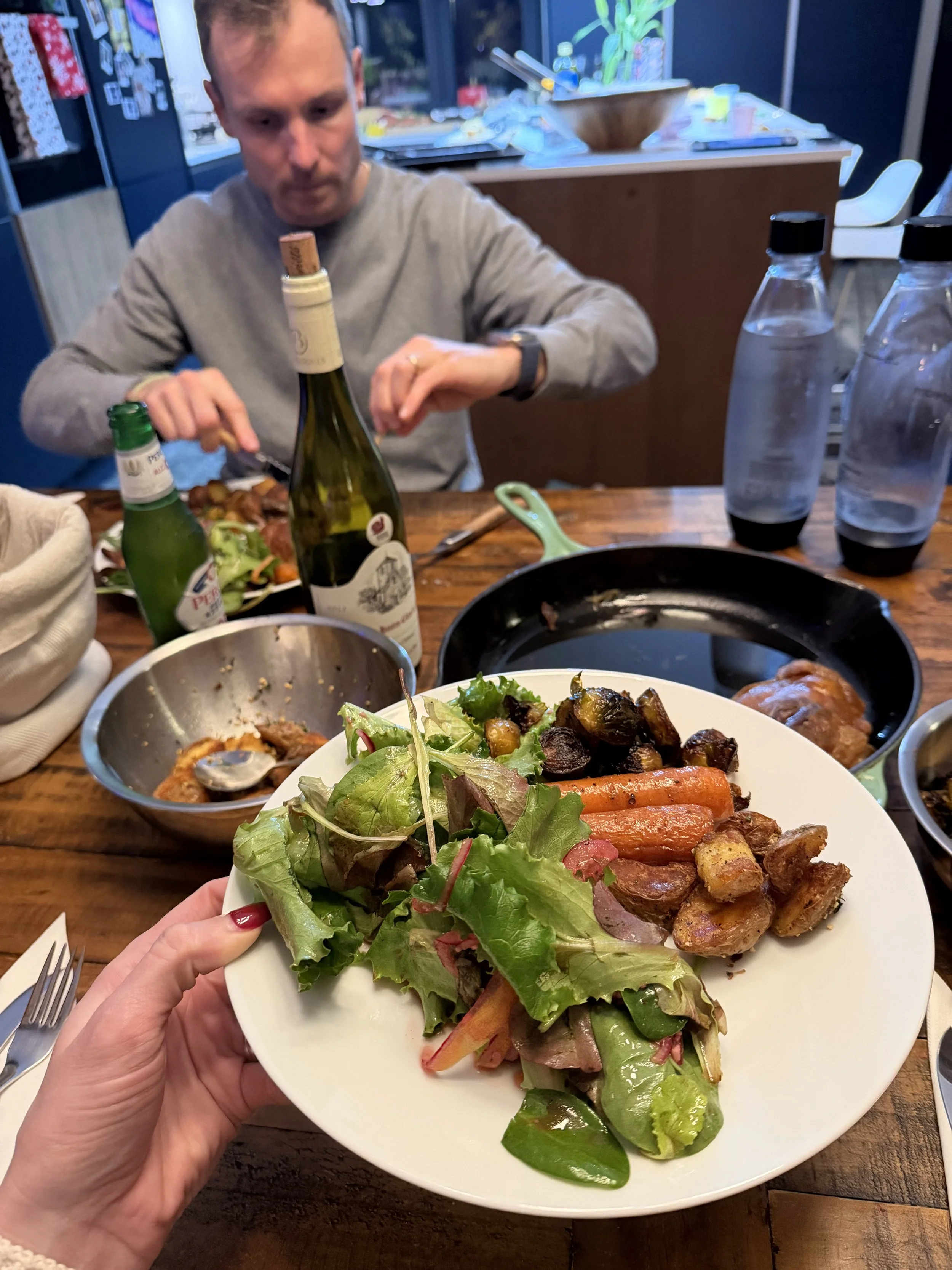  Elyse dinner without duck! 