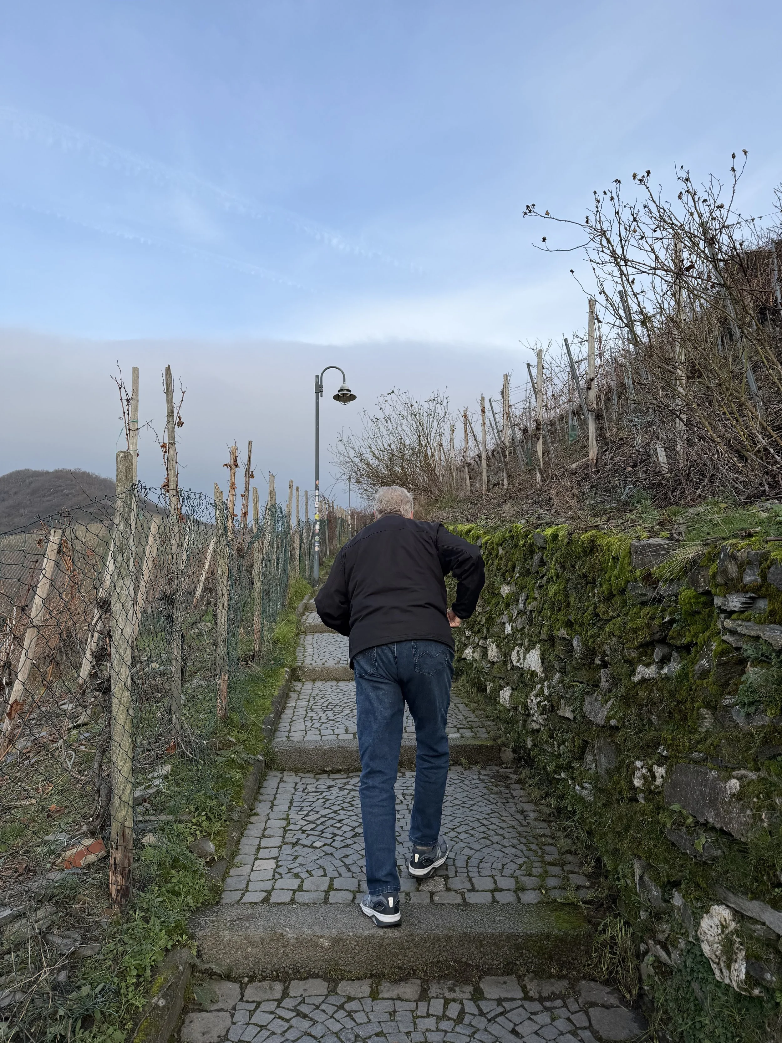 At the Vineyard above Bernkastel