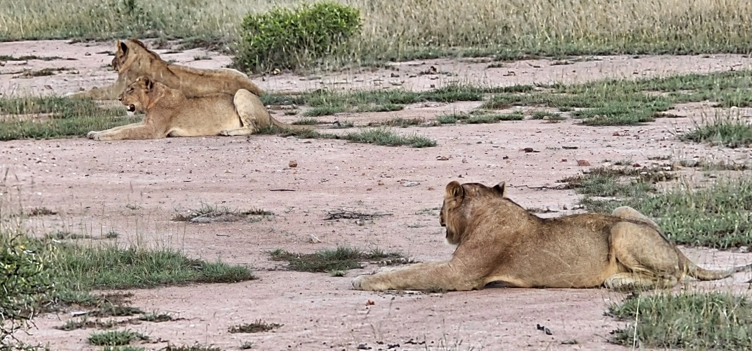 20260330_173817.jpg