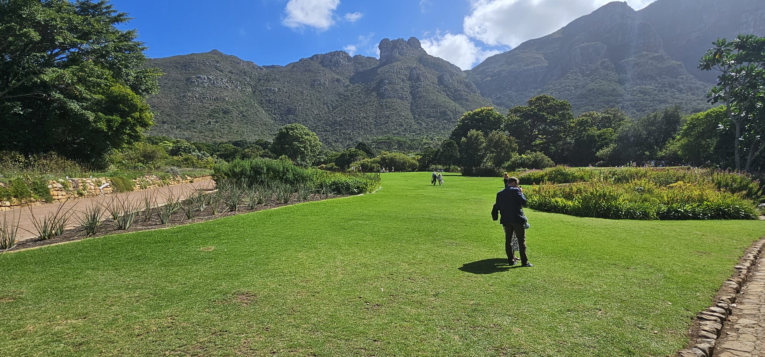   Kirstenbosch Botanical Gardens. 