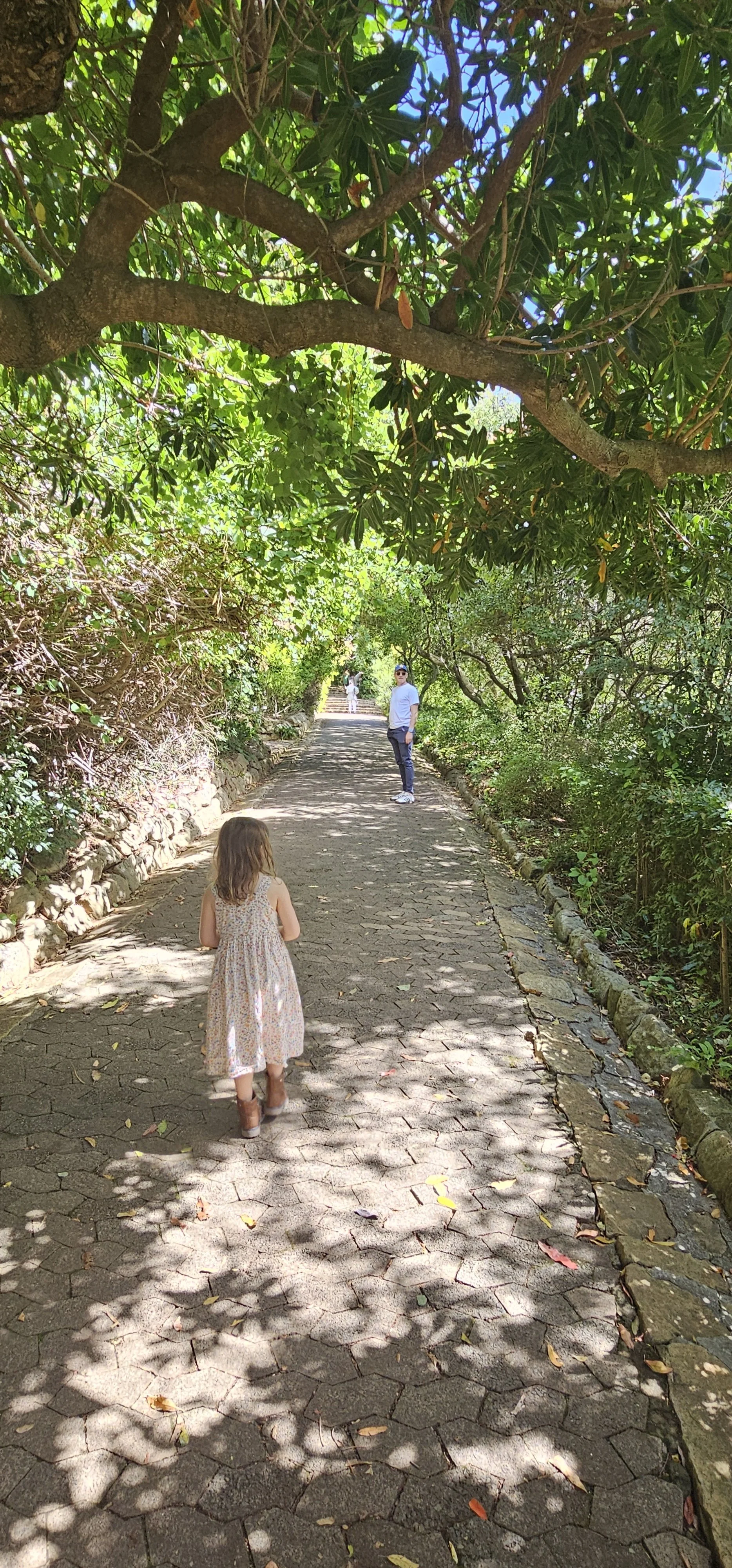   Kirstenbosch Botanical Gardens. 