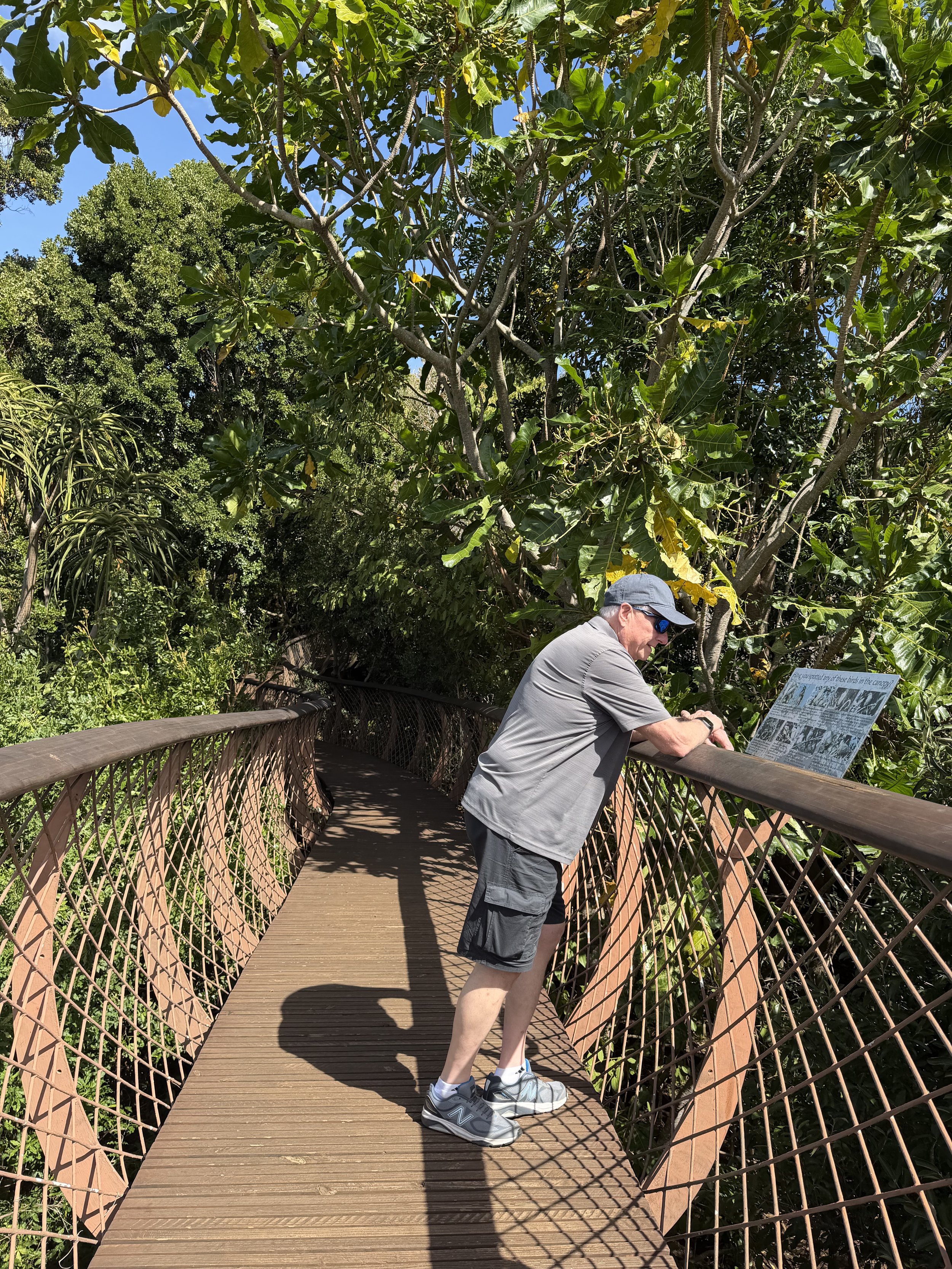   Kirstenbosch Botanical Gardens. 