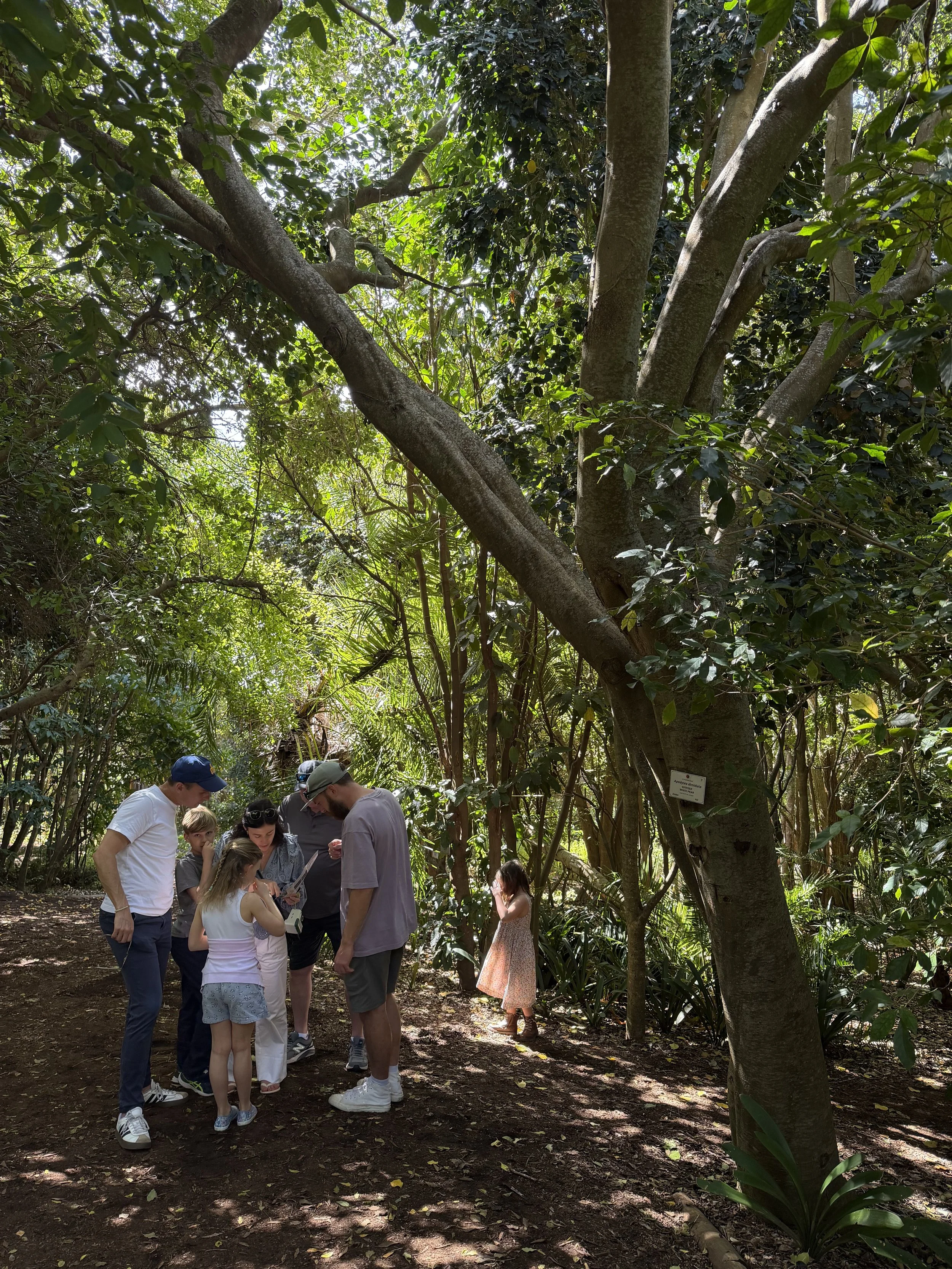   Kirstenbosch Botanical Gardens. 