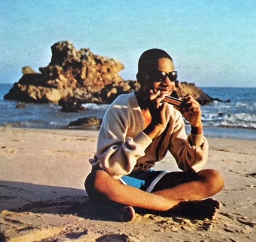 Stevie Wonder at the beach