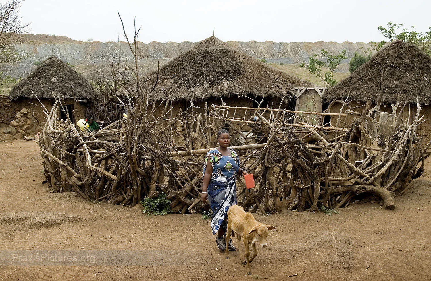 MWITA - The Mwita family lives in Nyamongo next to Barrick’s North Mara gold mine. The waste rock on the edge of the mining pit can be seen just behind their huts here. Ongoing violent conflict between the mine and local communities have created a climate of fear for those who live nearby. Since the mine opened in 2002, the Mwita family say that they live in a state of constant anxiety because they have been repeatedly harassed and intimidated by the mine’s private security forces and by government police. There have been several deadly confrontations in the area and every time there are problems at the mine, the Mwita family say their compound is the first place the police come looking. During police operations the family scatters in fear to hide in the bush, “like fugitives,” for weeks at a time waiting for the situation to calm down. “We had never experienced poverty before the mine came here.” They used to farm and raise livestock, “but now there are no pastures because the mine has almost taken the whole land … we have no sources of income and we are living only through God’s wishes.” They say they would like to be relocated, but the application process has been complicated, and they feel the amount of compensation they have been offered is “candy.”