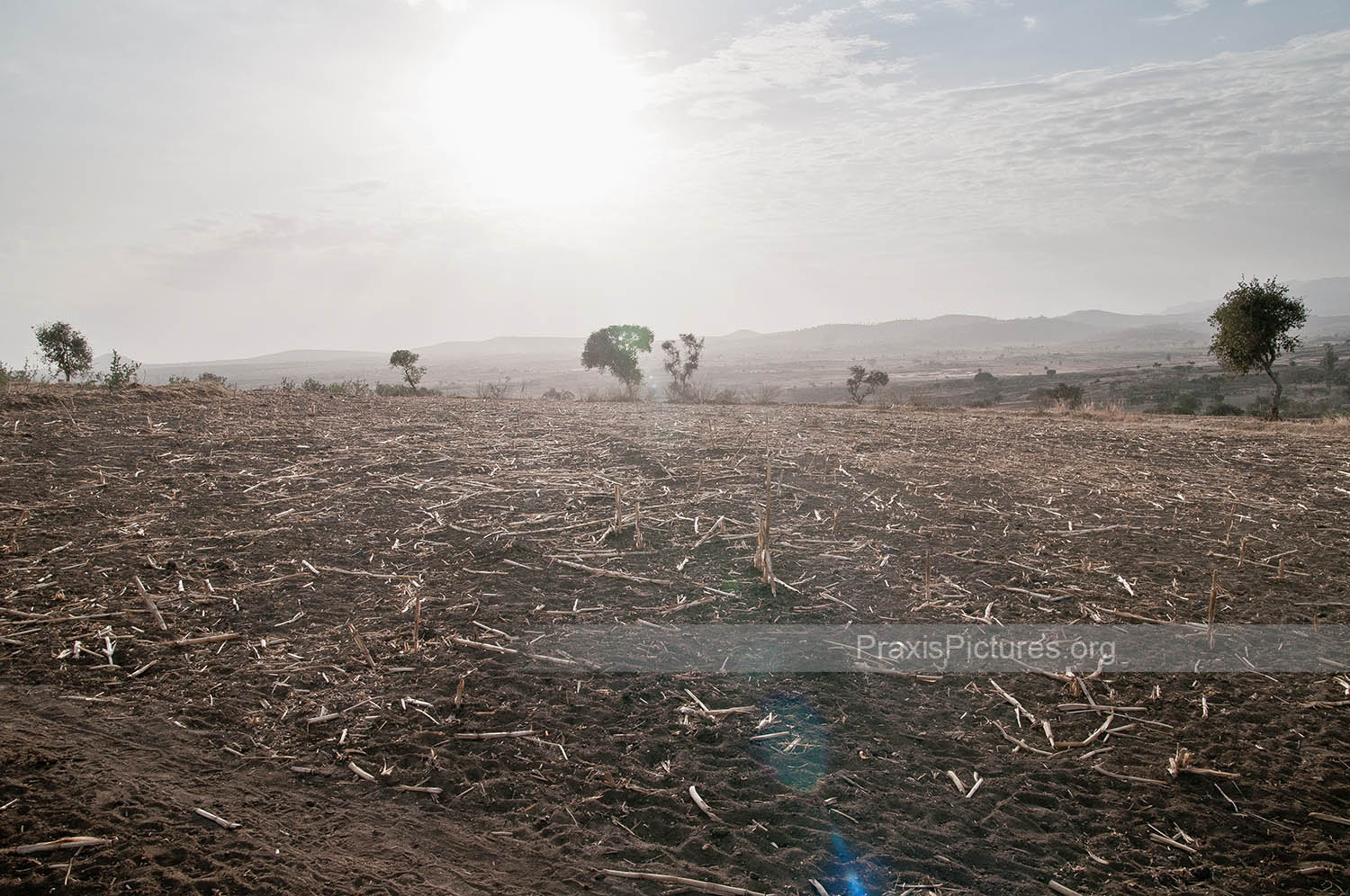 PARCHED EARTH