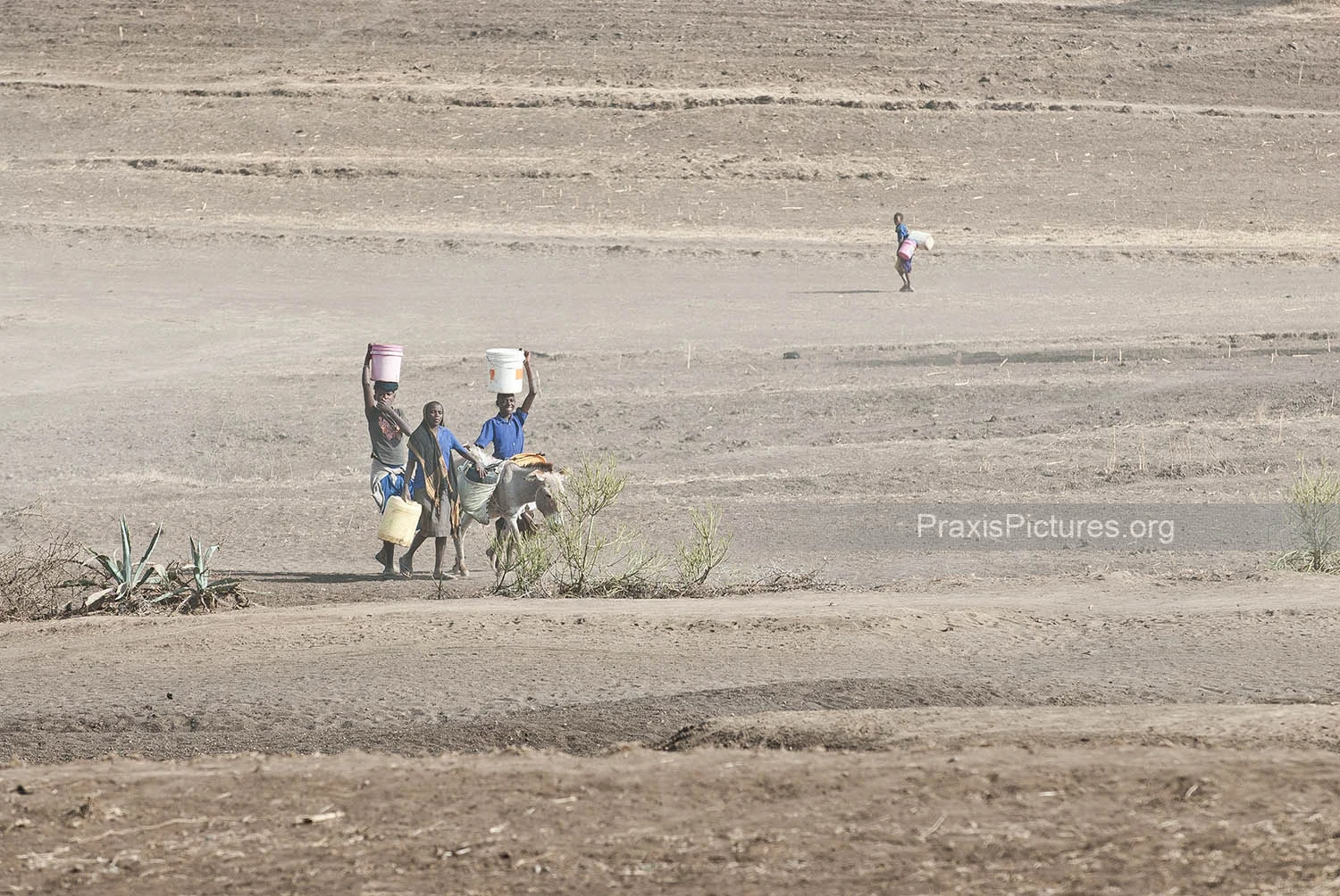 SEARCH FOR WATER - Every day the youth have to go in search of water to keep the community alive. They leave home at sunrise and, if they are lucky, they return home just before sunset.