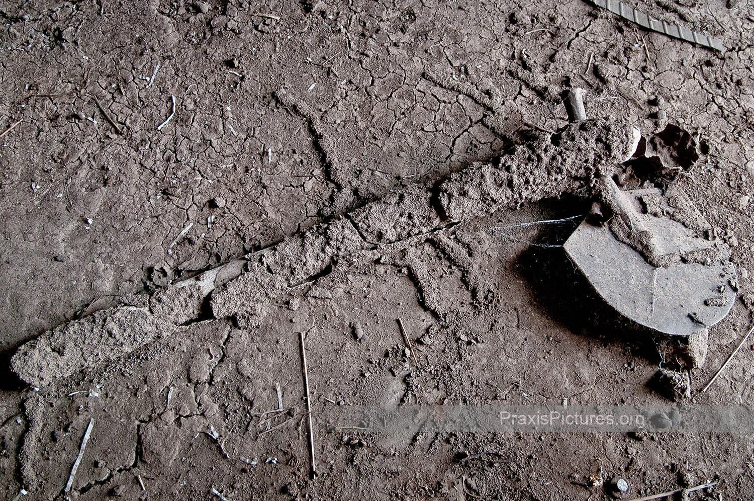 FARM TOOLS - "We haven't seen rain for almost a year now, so our farmlands have all dried up and died." - Ngorbob elders
