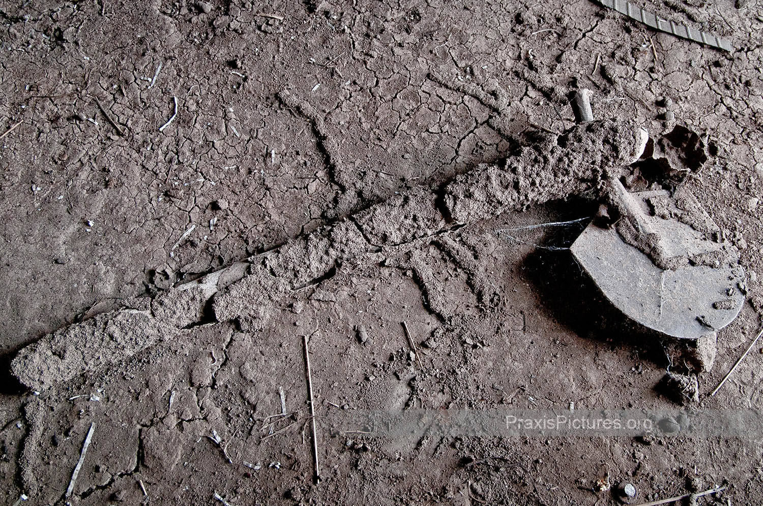 FARM TOOLS - "We haven't seen rain for almost a year now, so our farmlands have all dried up and died." - Ngorbob elders