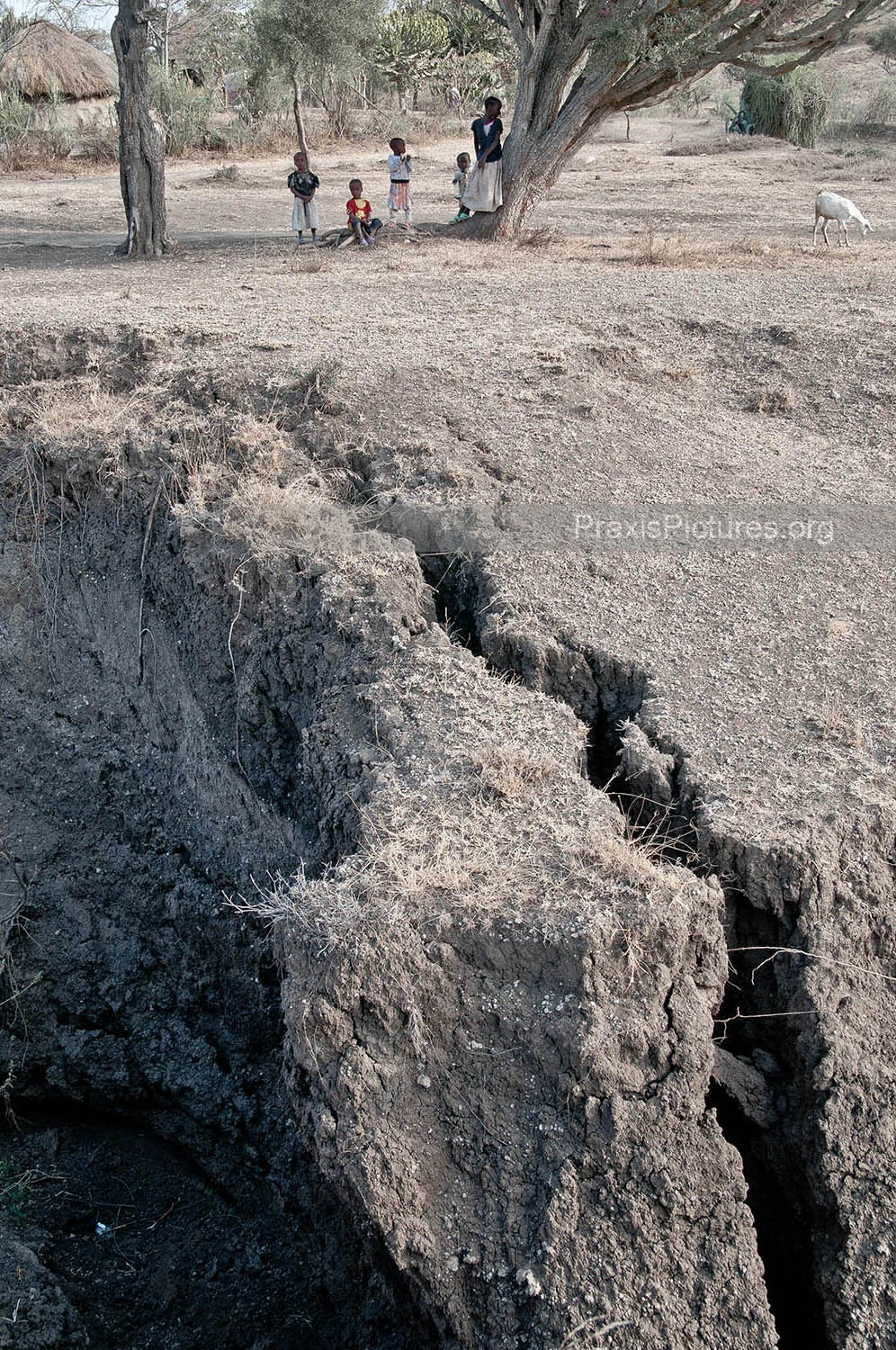 Dangerous Ground The parched earth has altered the landscape surrounding Ngorbob. Once green fields have eroded leaving the area dangerous for the children.