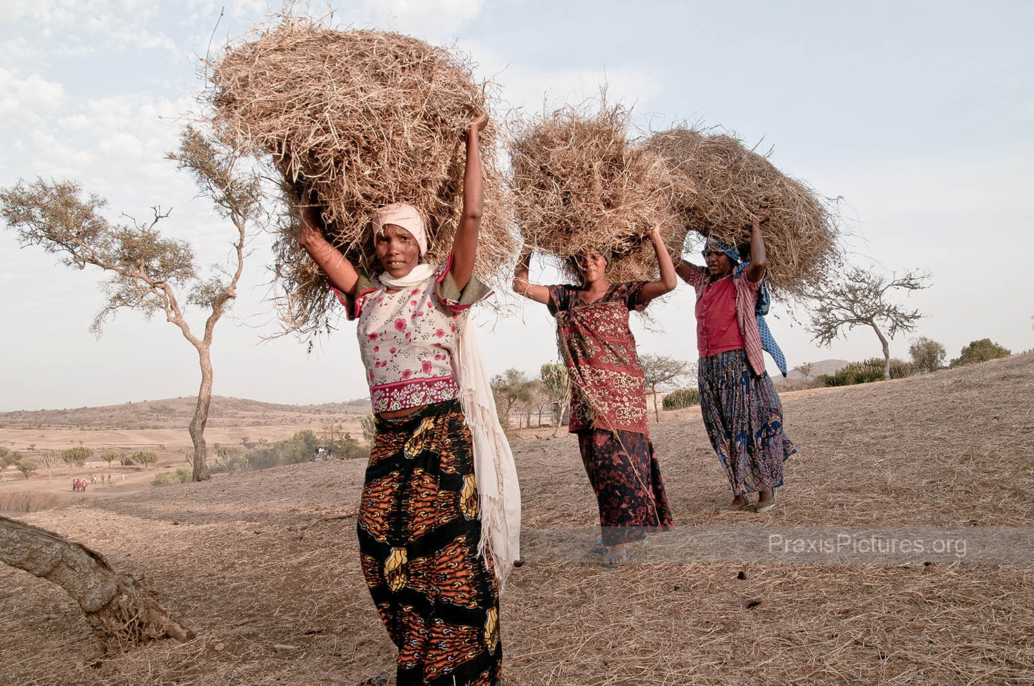 COLLECTING HAY - Eva, Zawadi, and Furaha collect hay in an attempt to keep their livestock alive.