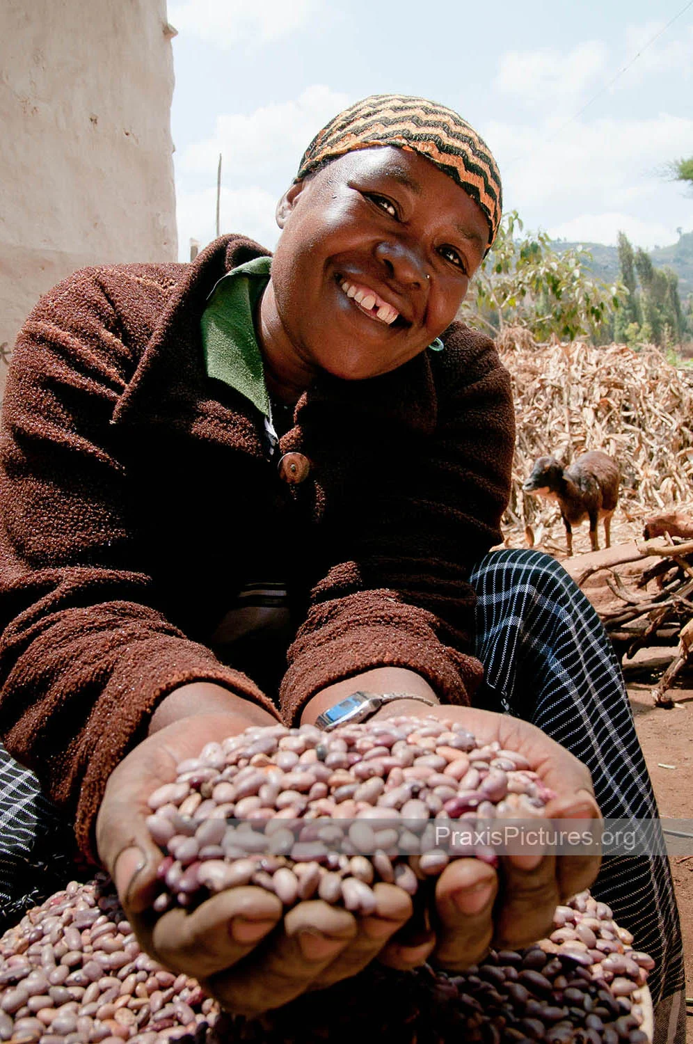 BILIHUSI - Bilihusi is a VICOBA member in Lushoto who has taken out loans to invest in her farm. She raises goats and a cow and sells beans and potatoes in the Lushoto market. She is now able to grow all the food she needs to provide for her family …