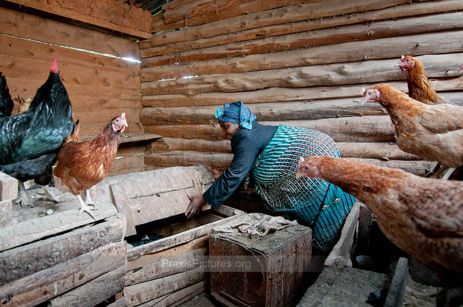 HADIJA - Hadija is a member of a VICOBA group in Lushoto, Tanzania. Thanks to a loan from her VICOBA group, Hadija was able to start a poultry farm and grow vegetables, which now provides all the food needs of her family of four. "I no longer have to buy and food for the family, except maybe rice sometimes. It makes me very proud to be able to support the whole family on my own."