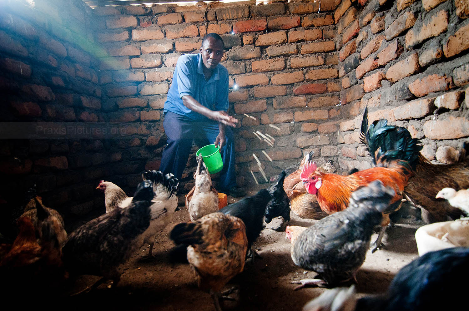 OMAR - Omar is a member of the Tumaini VICOBA group made up mostly of people living with HIV. The group decided to start a jointly owned poultry farm, allowing them to share the responsibilities and benefits. The group has already made a profit and plans to expand.