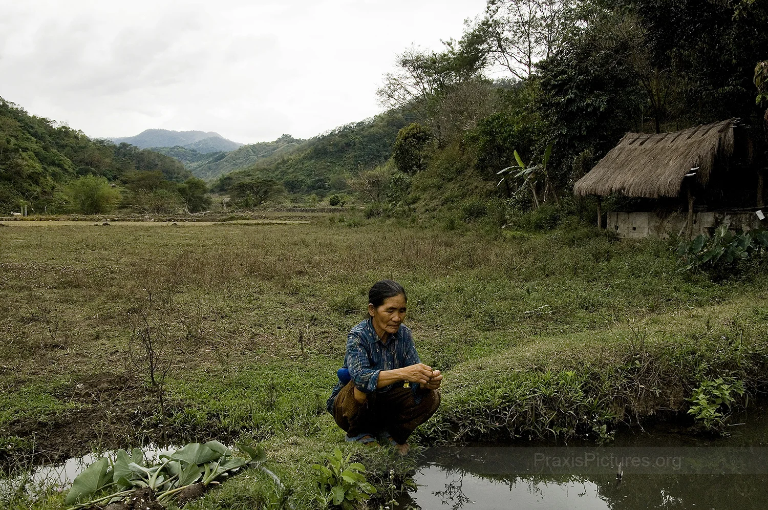 SULEY - In Cervantes, a few kilometers down river from Lepanto’s gold mine, Suley sits in the middle of her barren farm which has been contaminated by the toxic chemicals that have leaked out of the tailings dam and into the river system. Her farm has been barren for ten years now. “If it wasn’t for the mine, we would be living a good life”,” she says, ““but now, life is very hard.” Before, Suley’s abundant farm more than adequately provided for her entire extended family. Now they are barely able to provide for their basic needs. Every year they try replanting fresh seeds hoping that the soil will eventually regenerate. They will do so again this year, but after ten years, nothing has changed. According to the Save The Abra River Movement, the siltation and toxic pollution of the rivers deprives communities in Cervantes of about 7.33 million kg of rice worth US$2.27 million per annum.