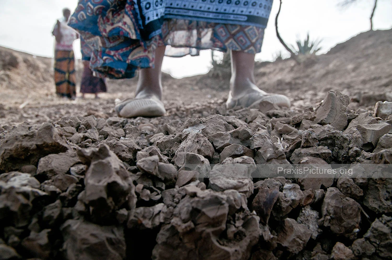 NGORBOB: OUR LAND IS DYING AND SO ARE WE (Photoessay)“The climate has changed. There is no water here, nothing. Our land is dying and so are we” Ngorbob elders. Ngorbob is a small Masai village near Arusha, Tanzania. They have not seen rain for over…
