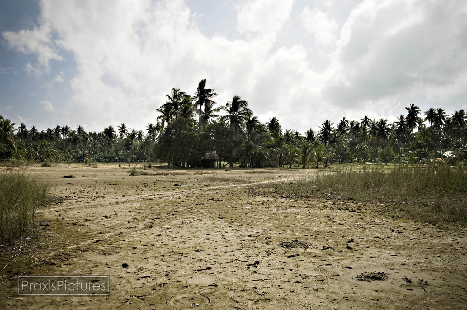 These used to be thriving rice fields which have been barren since the 1993 dam collapse. Nothing has been able to grow on this once fertile land. This farm has been abandoned.