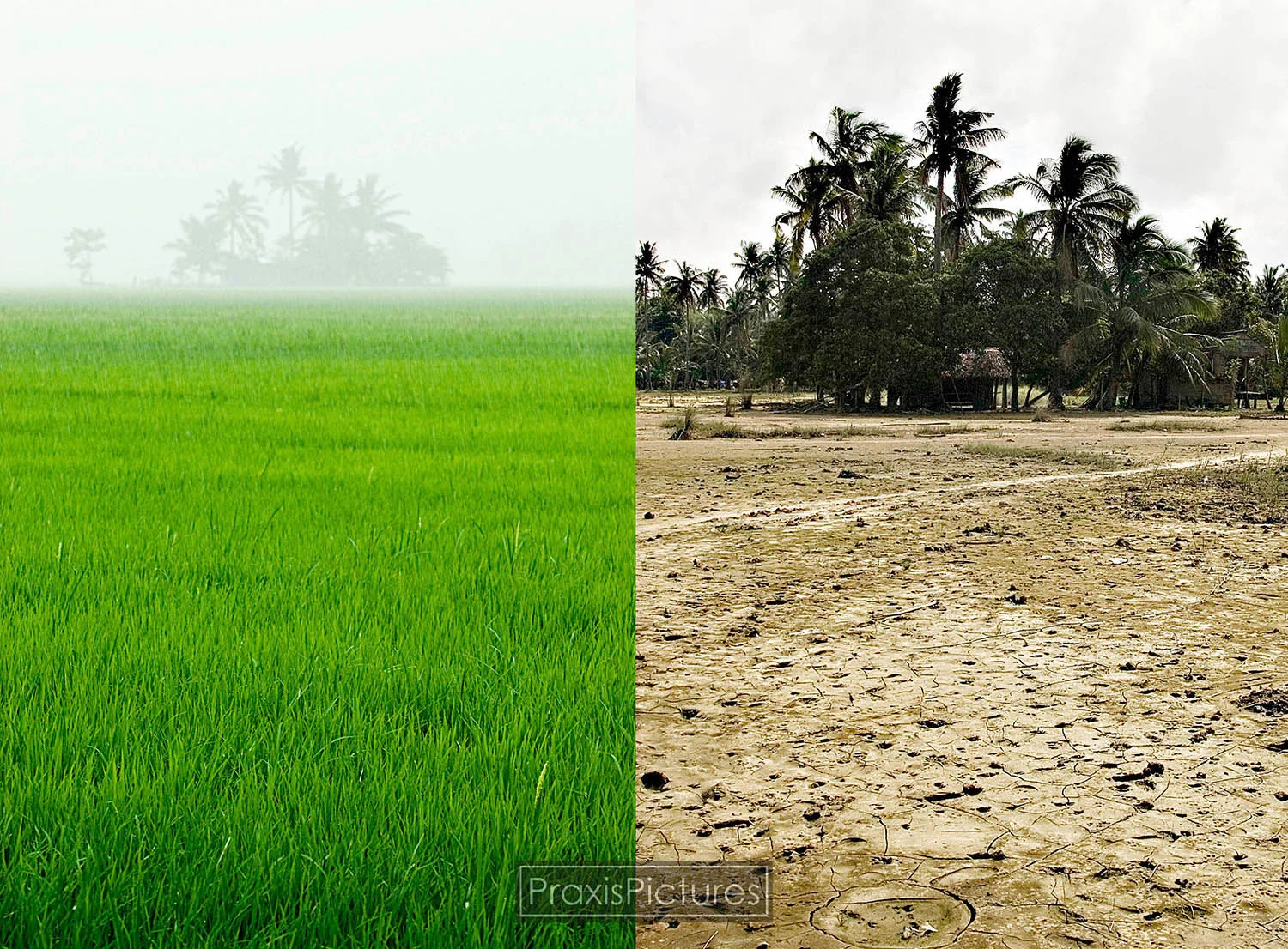 After being ordered by the Philippine government to make the necessary repairs to the San Antonio Pit and clean up their mess from the previous two dam failures or face criminal charges, Placer Dome responded by packing their bags and sneaking out o…