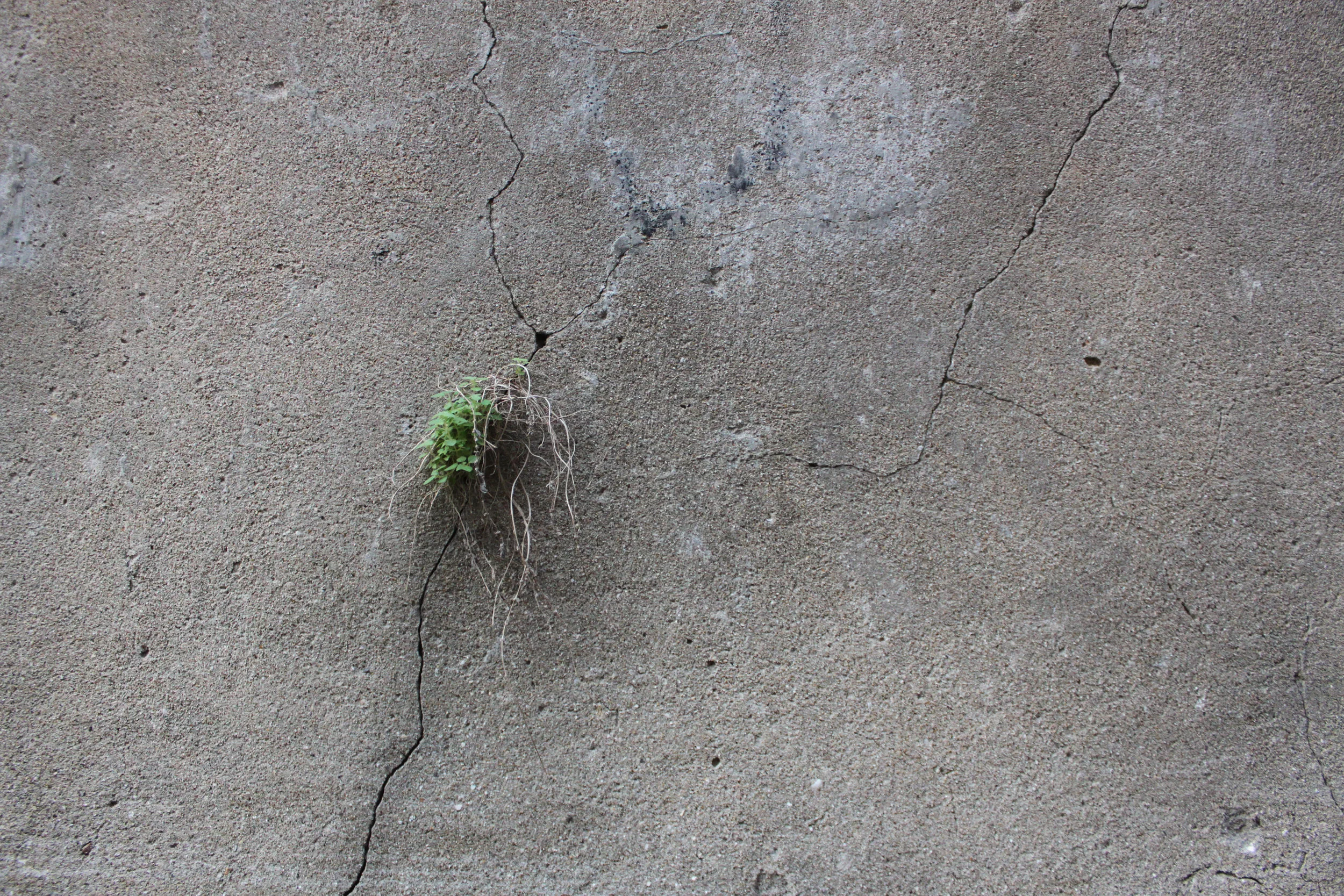 Green Line