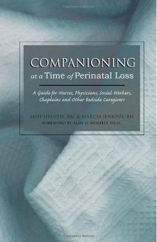 Companioning at a Time of Perinatal Loss: A Guide for Nurses, Physicians, Social Workers, Chaplains and Other Bedside Caregivers