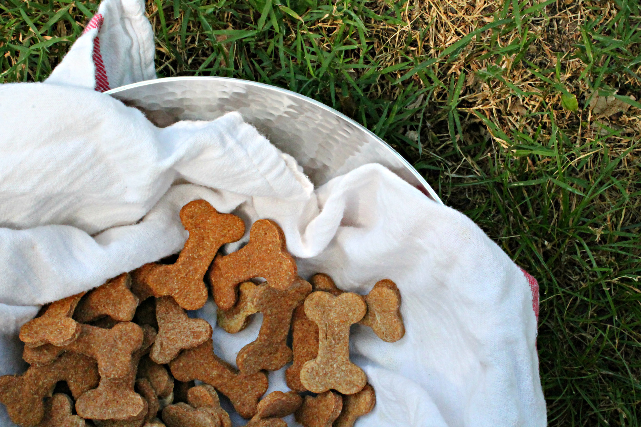 Bone Appetit Dog Bones