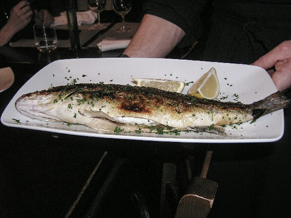 Branzino